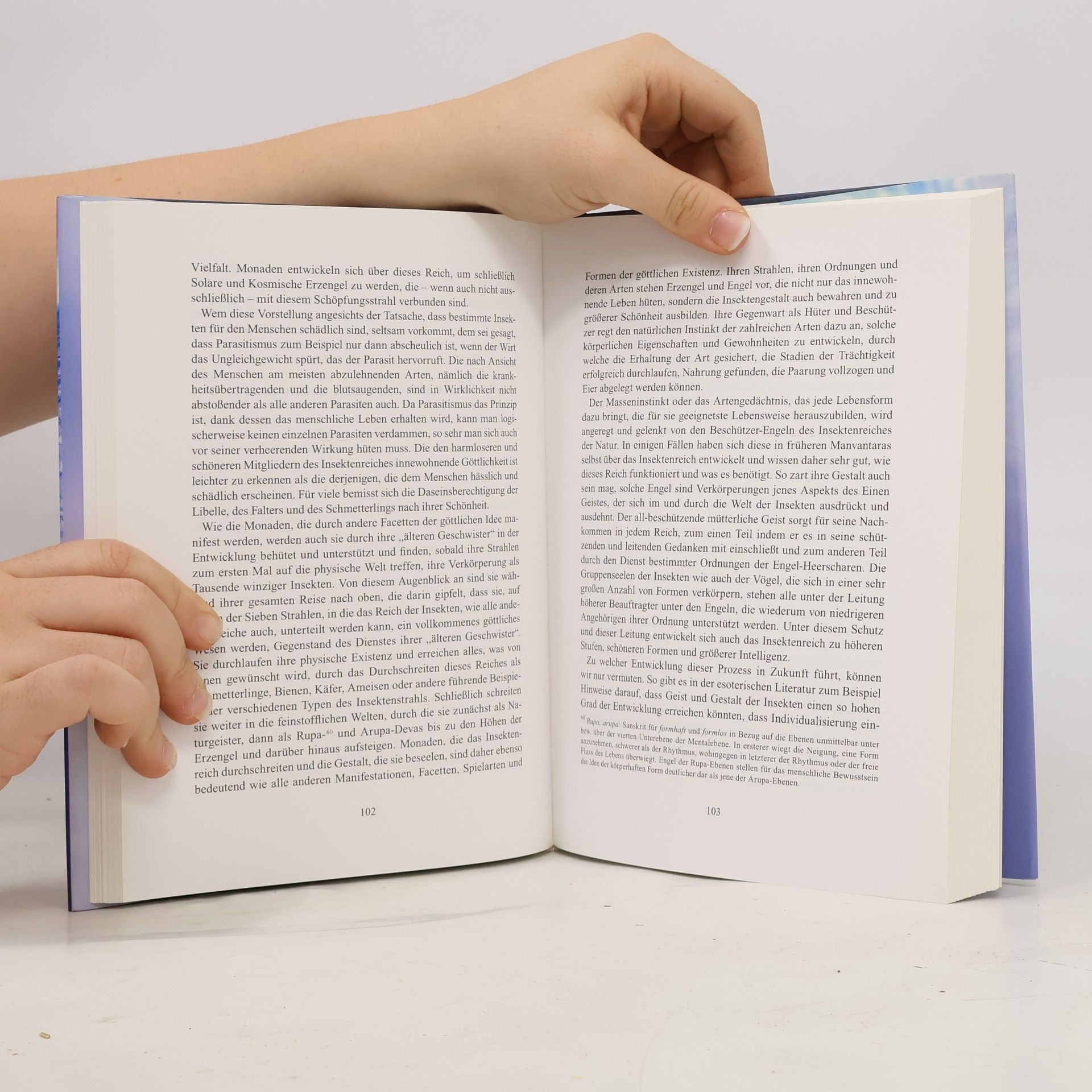 Geoffrey Hodson Die Engel und die Entwicklung des Lebens