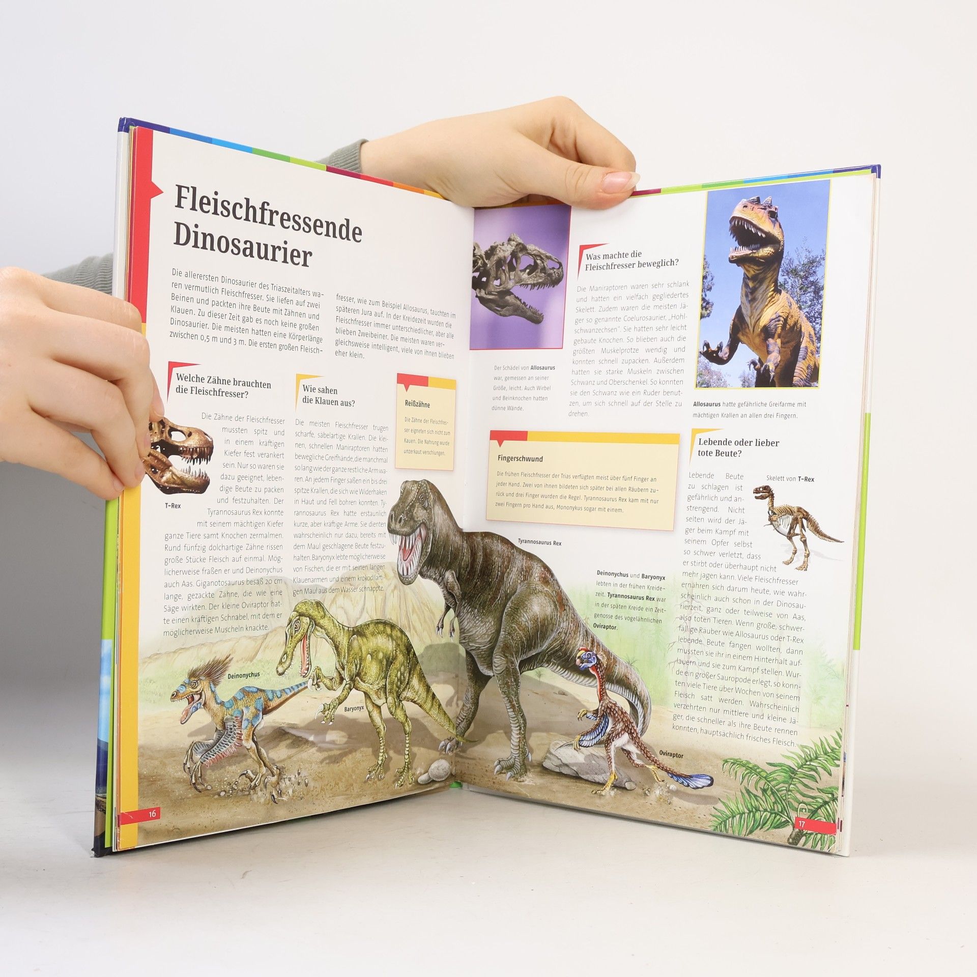 Collectif d'auteurs Die Dinosaurier