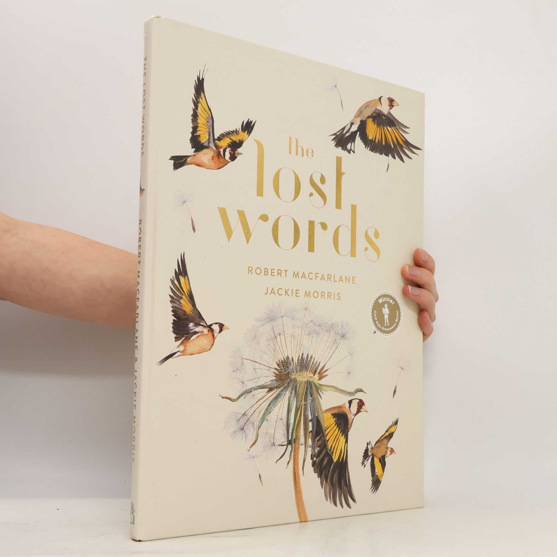 Robert Macfarlane The Lost Words