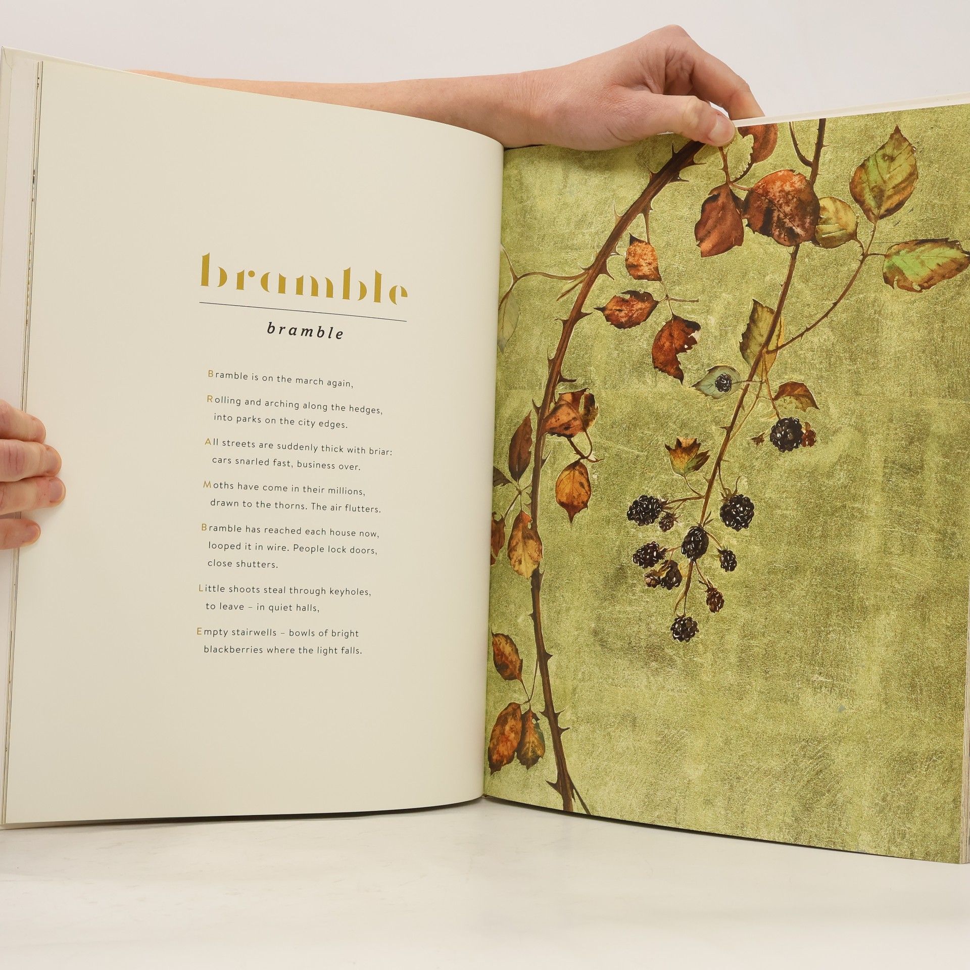 Robert Macfarlane The Lost Words