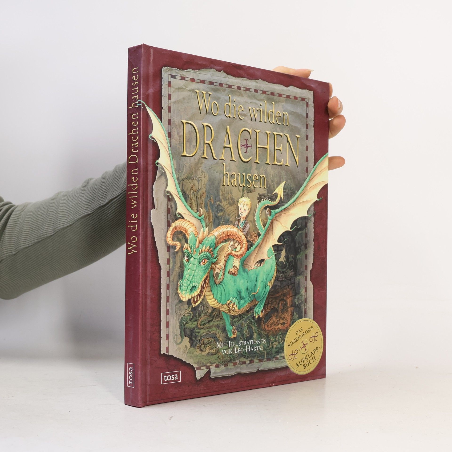 Leo Hartas Wo die wilden Drachen hausen