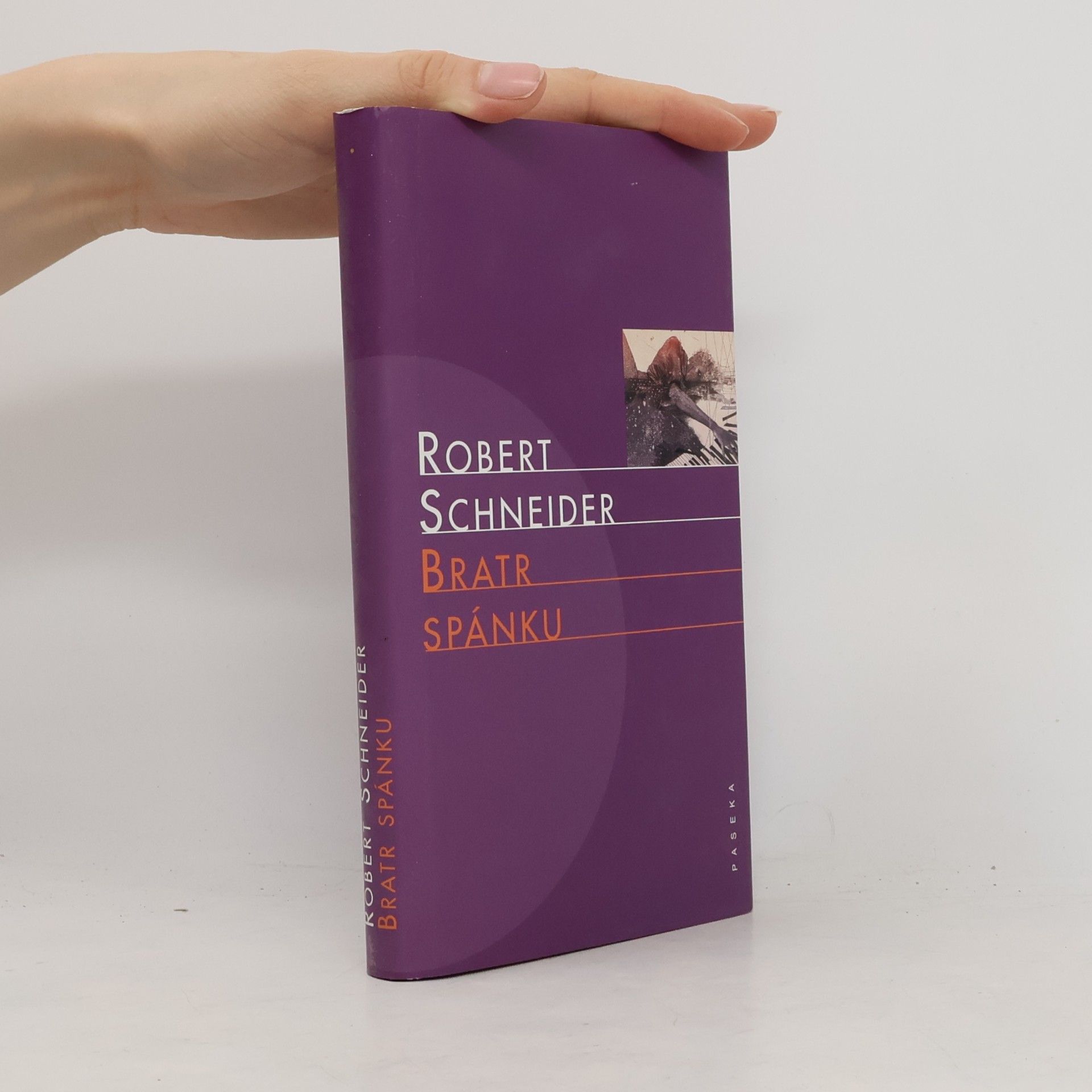 Robert Schneider Bratr spánku