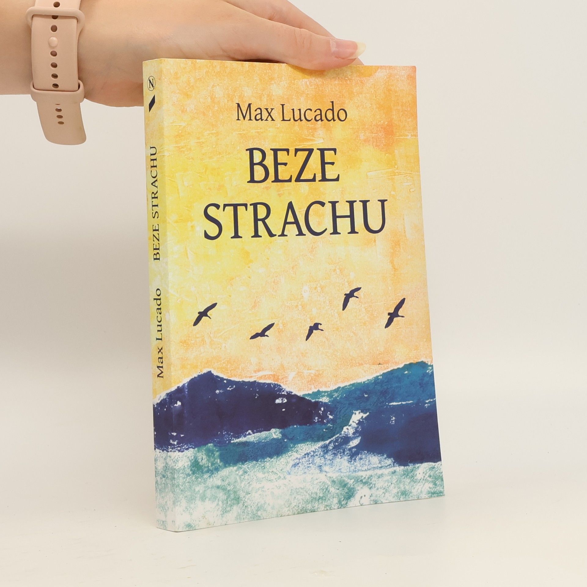 Max Lucado Beze strachu