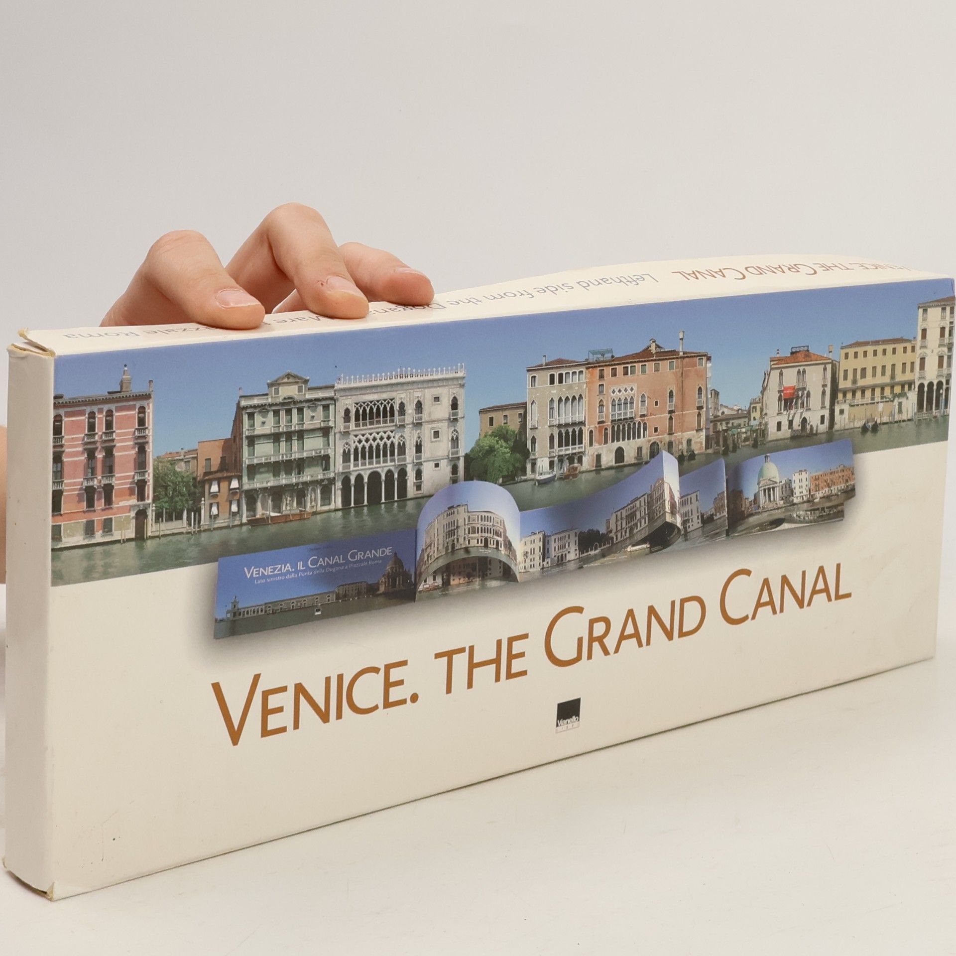 Daniele Resini Venice. The Grand Canal