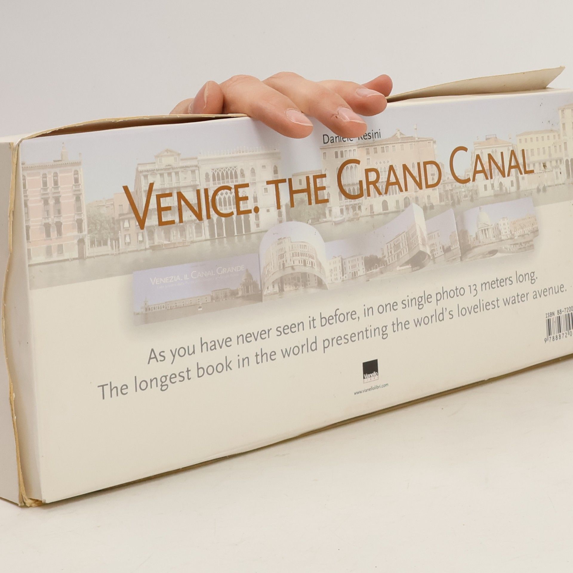 Daniele Resini Venice. The Grand Canal
