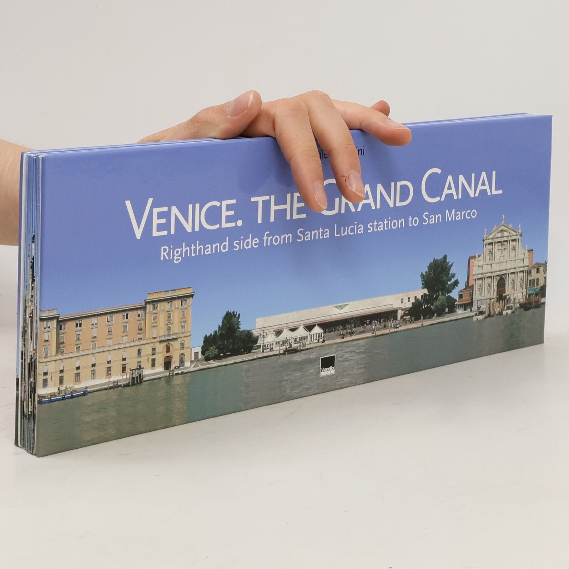 Daniele Resini Venice. The Grand Canal