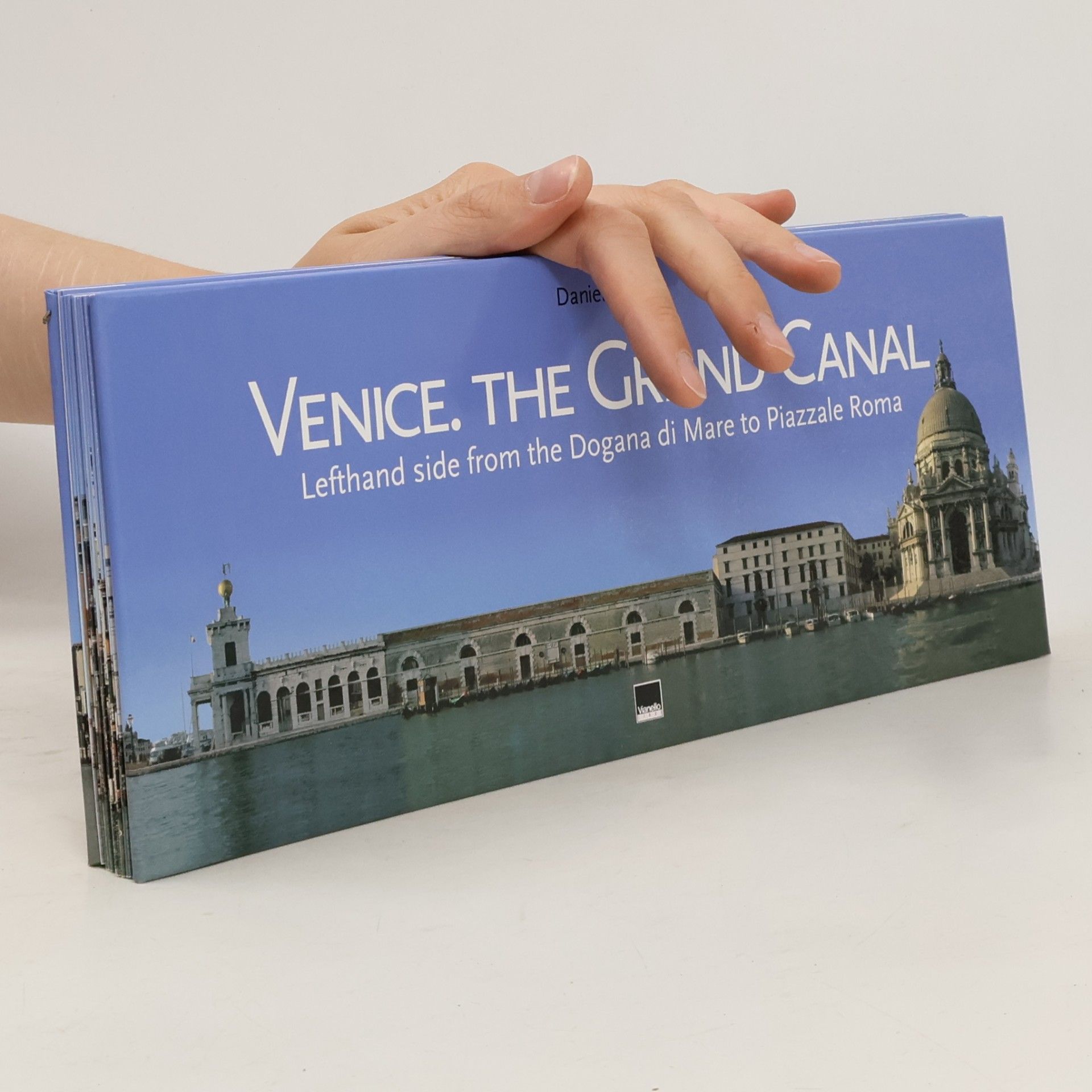 Daniele Resini Venice. The Grand Canal
