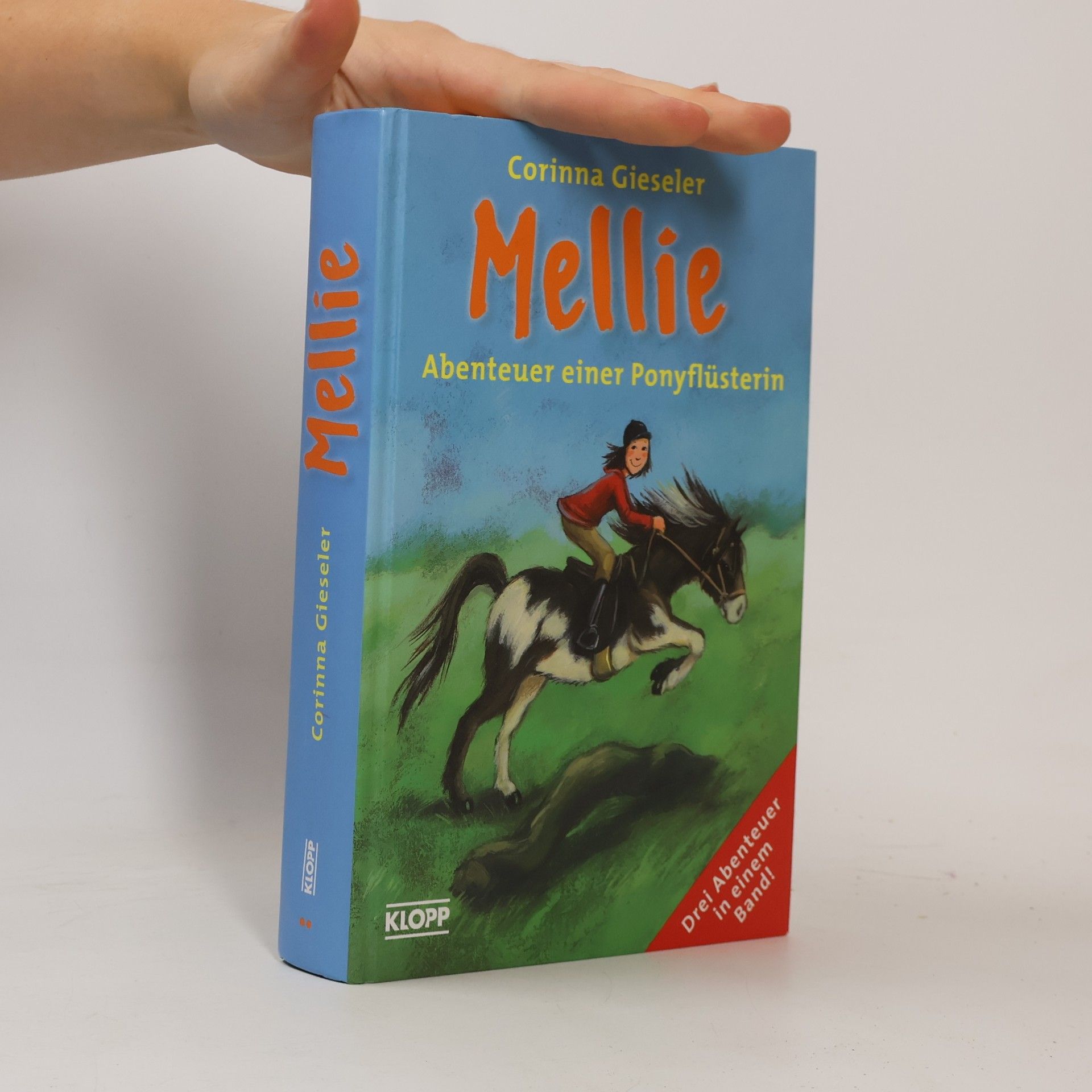 Corinna Gieseler Mellie. Abenteuer einer Ponyflüsterin