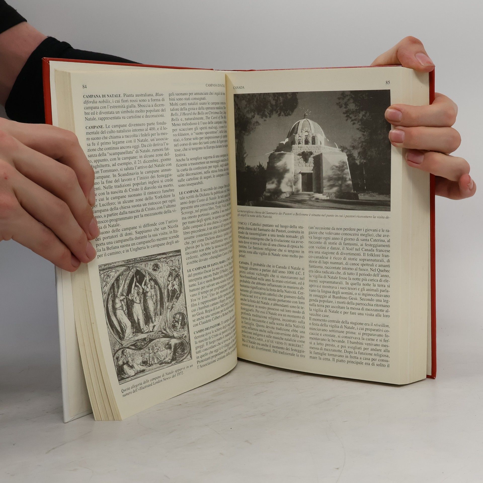 Gerry Bowler Grandi Manuali Newton: Dizionario universale del Natale