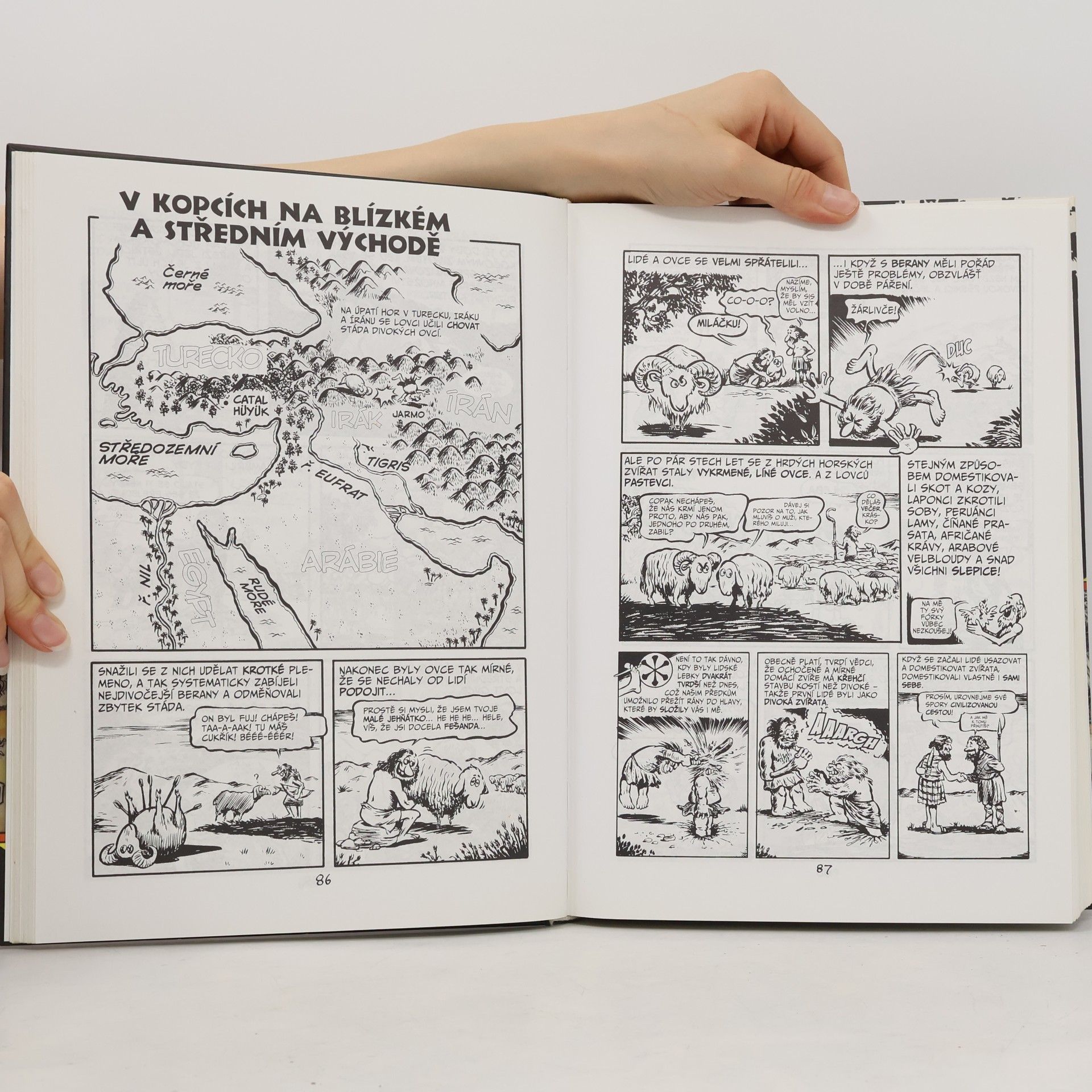Larry Gonick Komiksová historie světa: Od Velkého třesku po Alexandra Velikého
