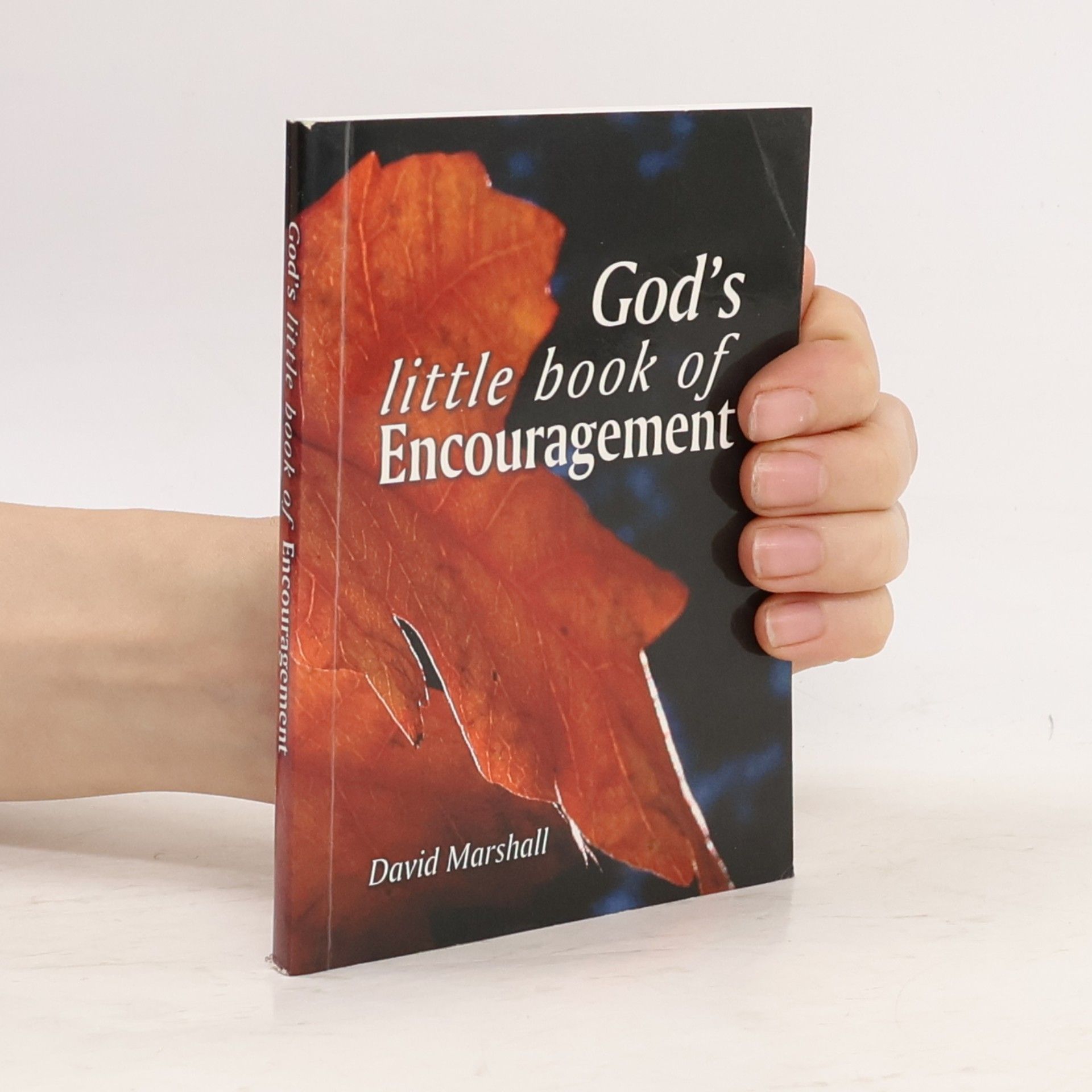 God's Little Book of Encouragement