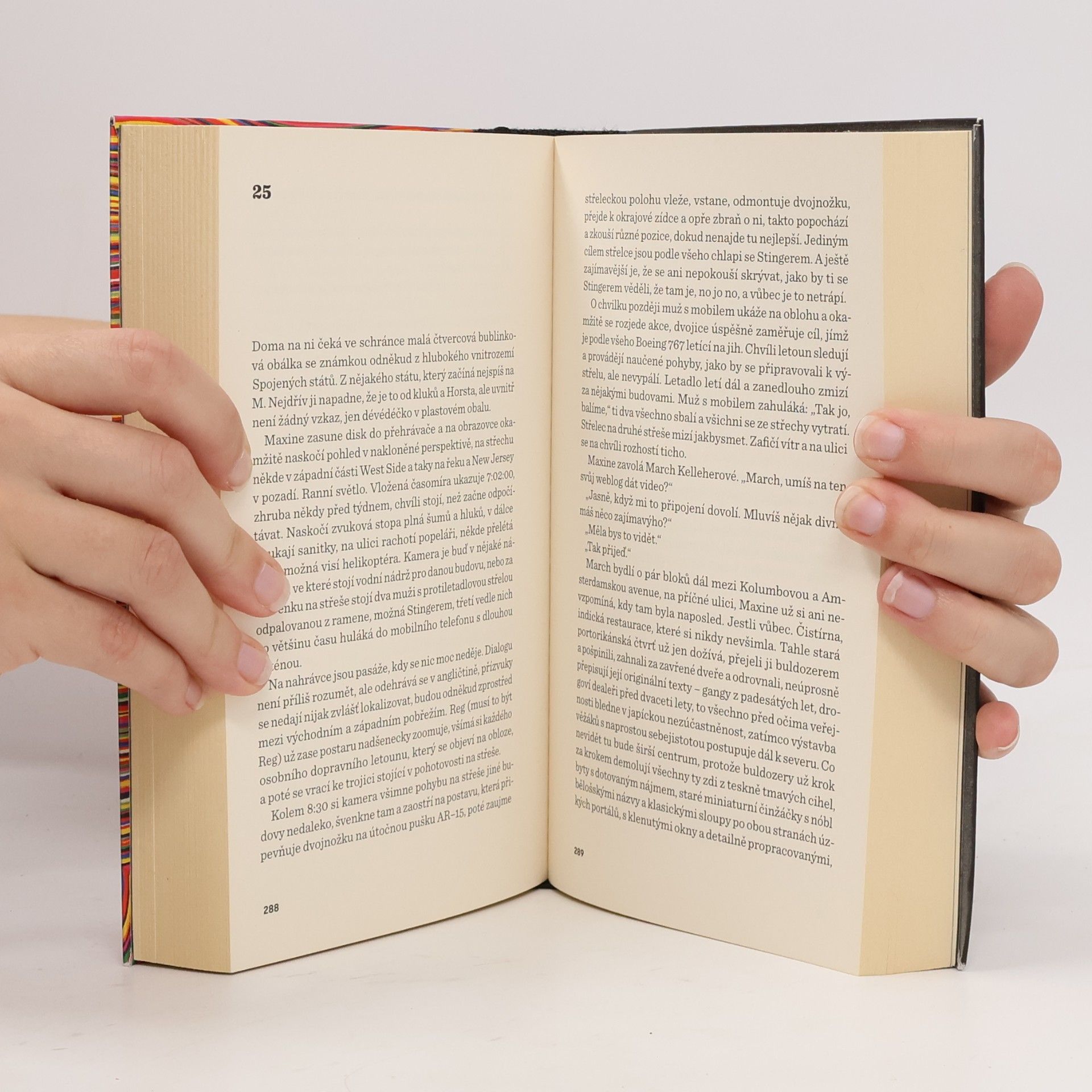 Thomas Pynchon Výkřik techniky