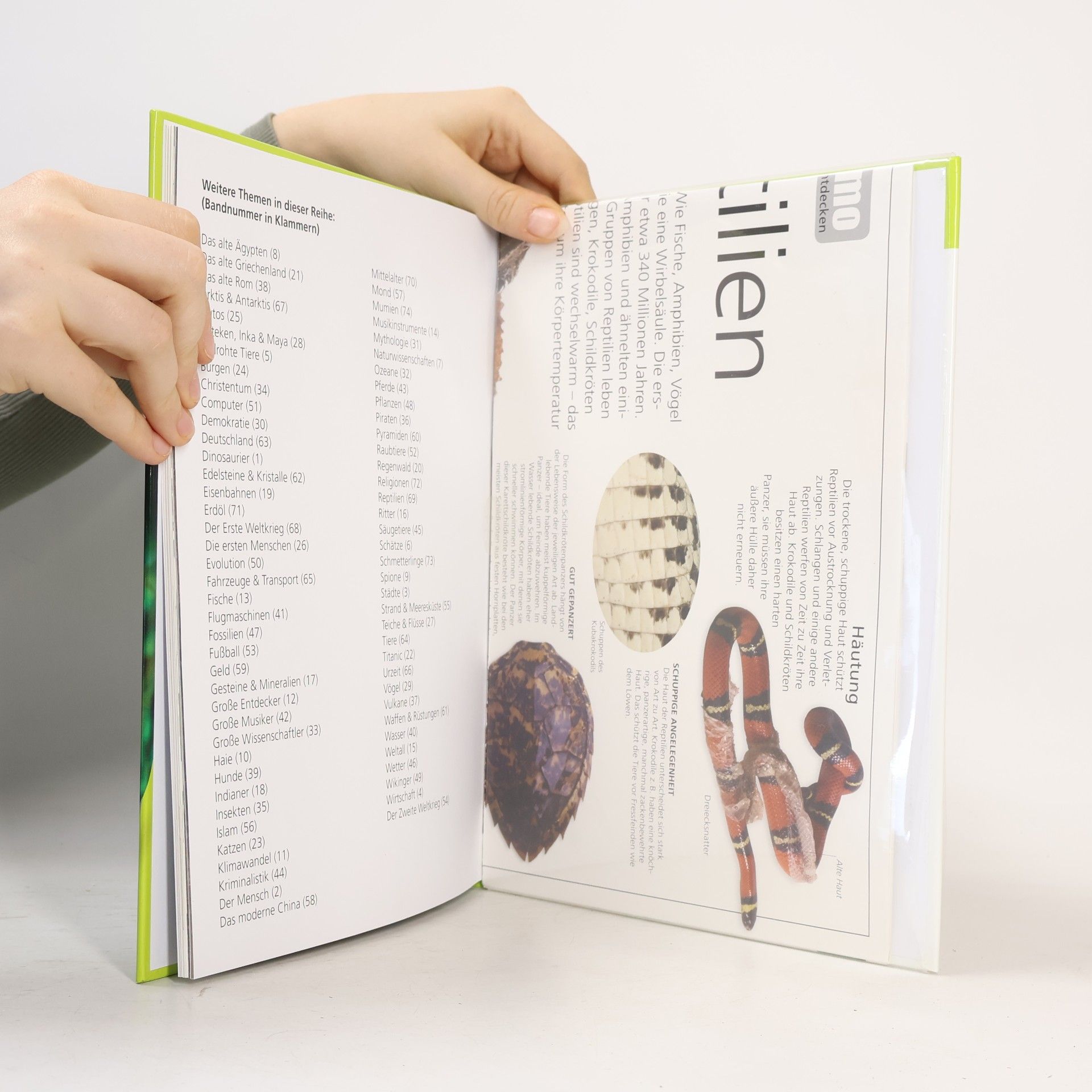 Various authors Reptilien