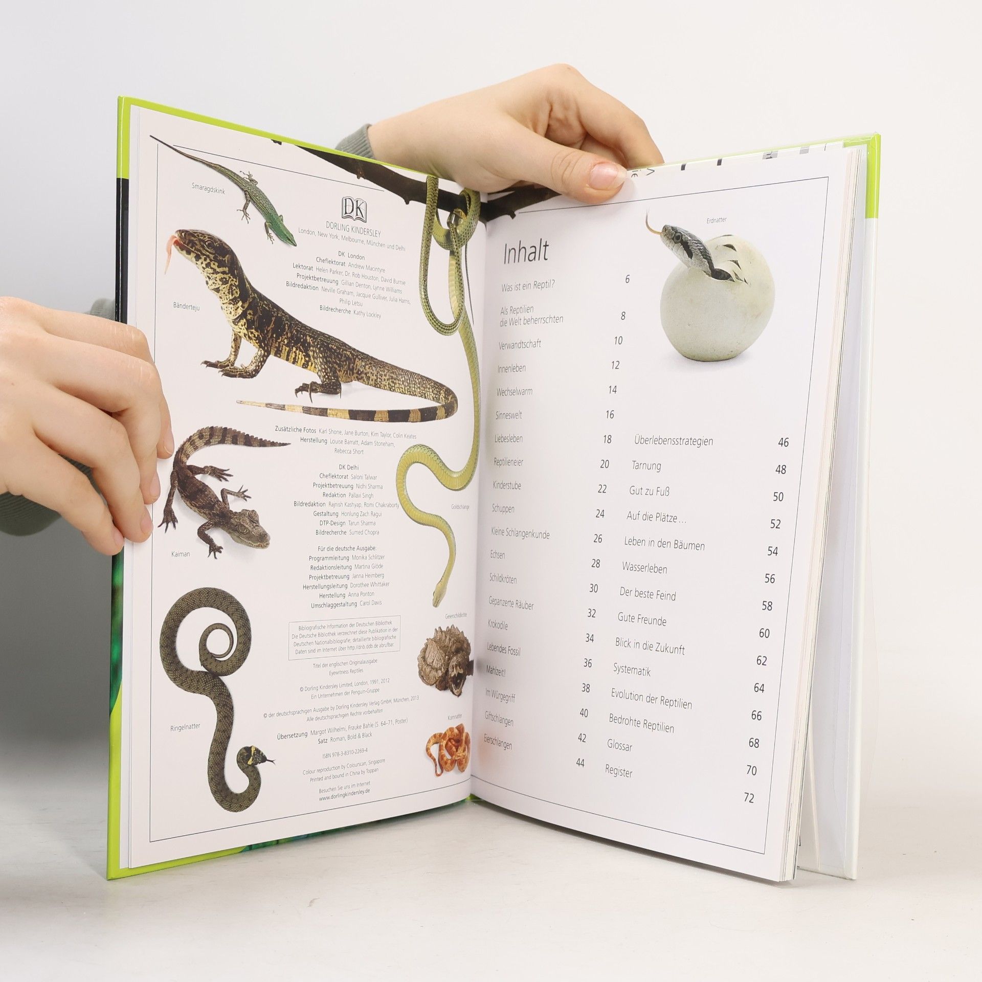 Various authors Reptilien