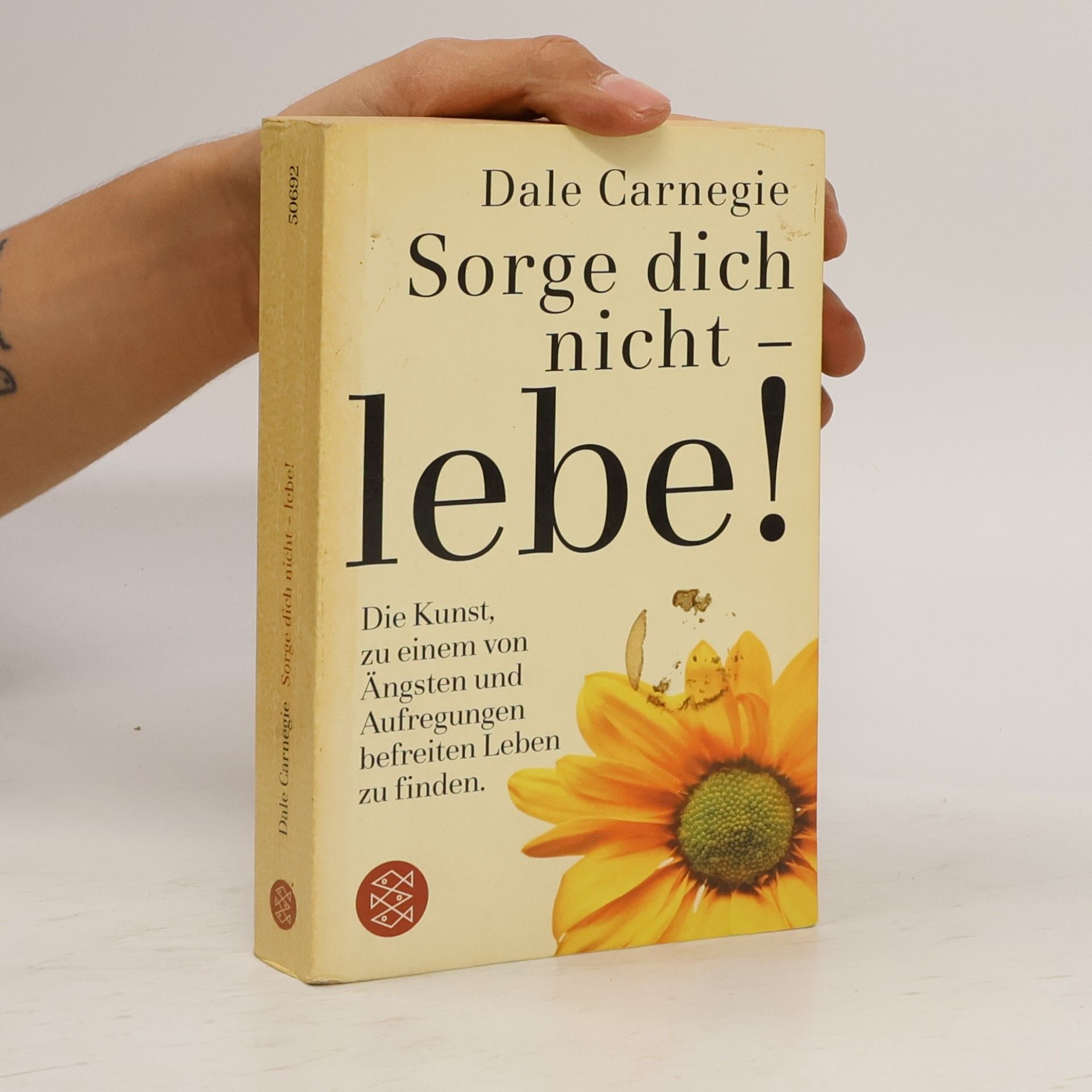 Dale Carnegie Sorge dich nicht - lebe!