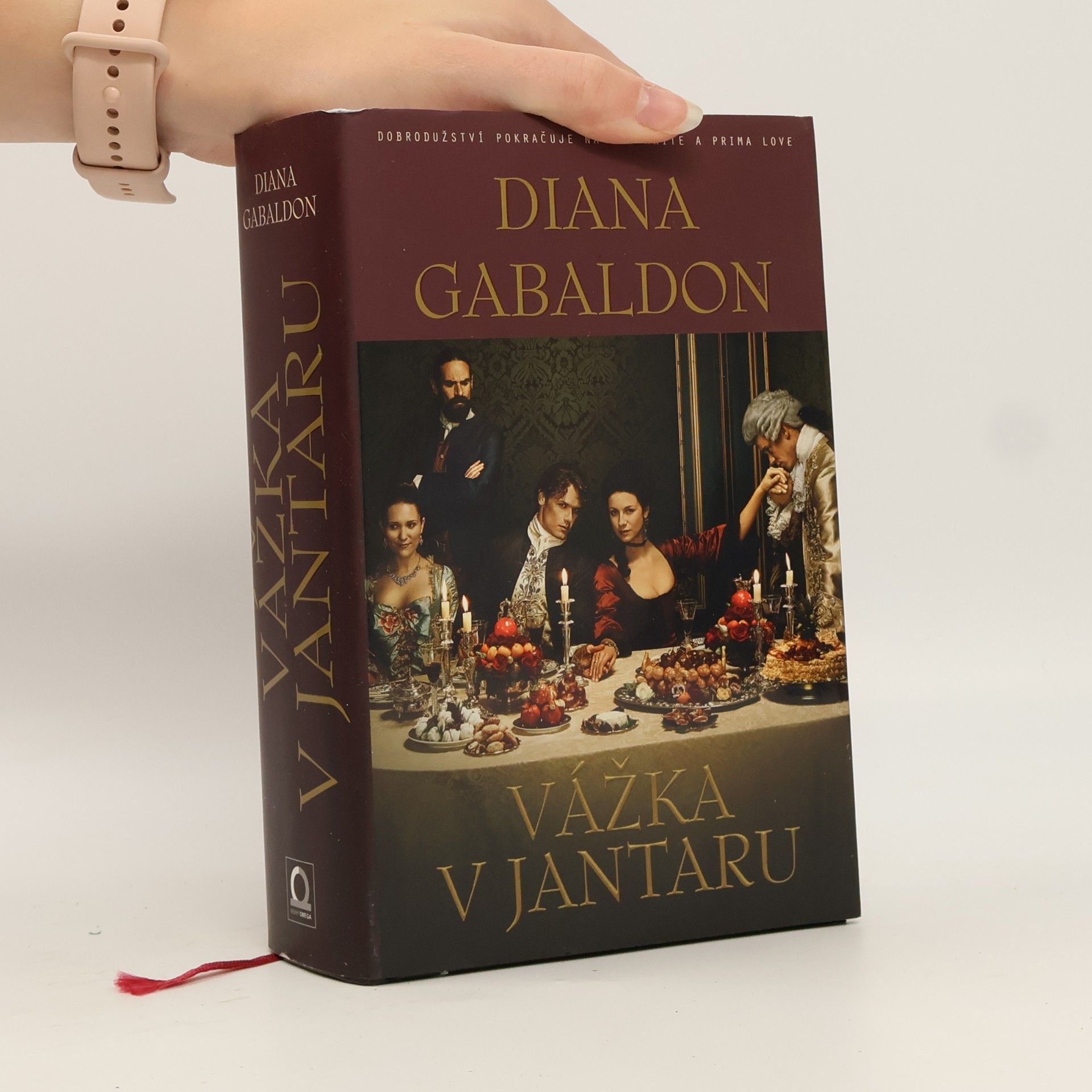 Diana Gabaldon Vážka v jantaru