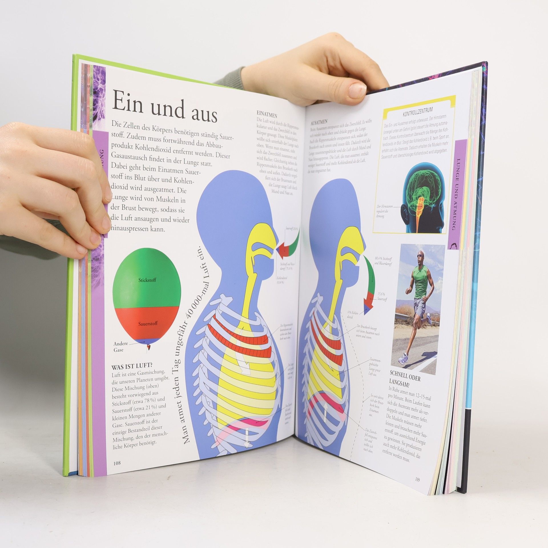 Richard Walker Der menschliche Körper für clevere Kids