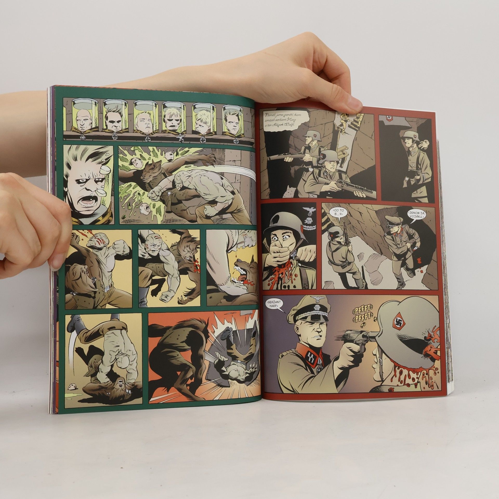 Bill Willingham Trpká období. Mýty 5