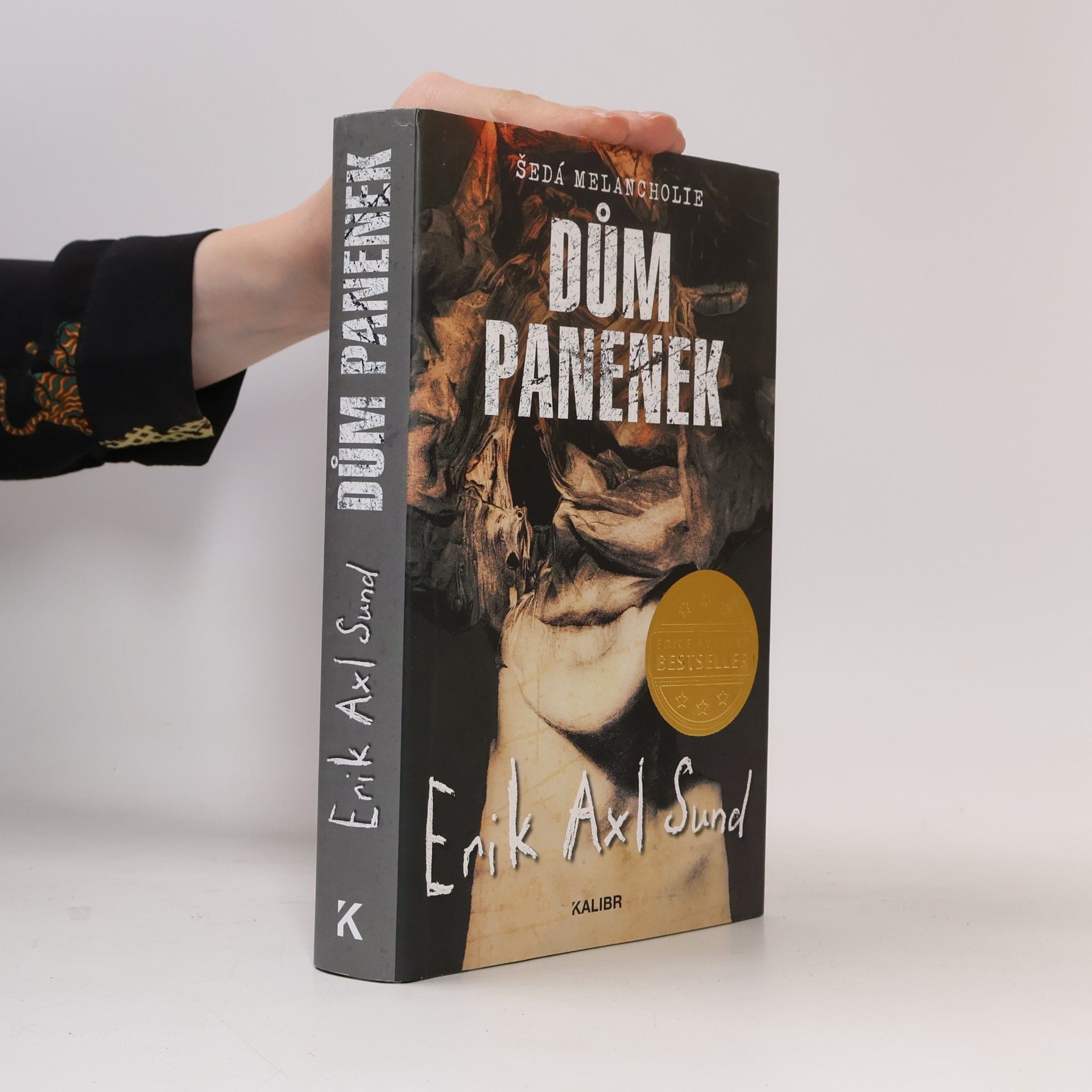 Erik Axl Sund Dům panenek