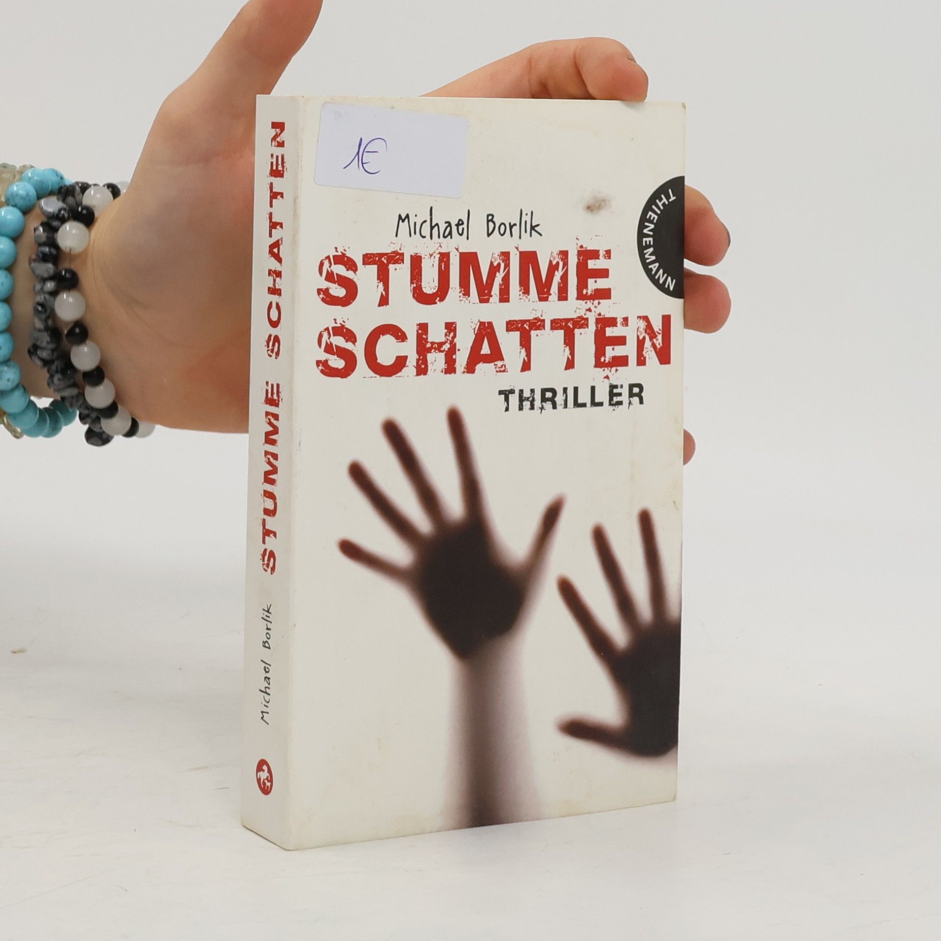 Michael Borlik Stumme Schatten