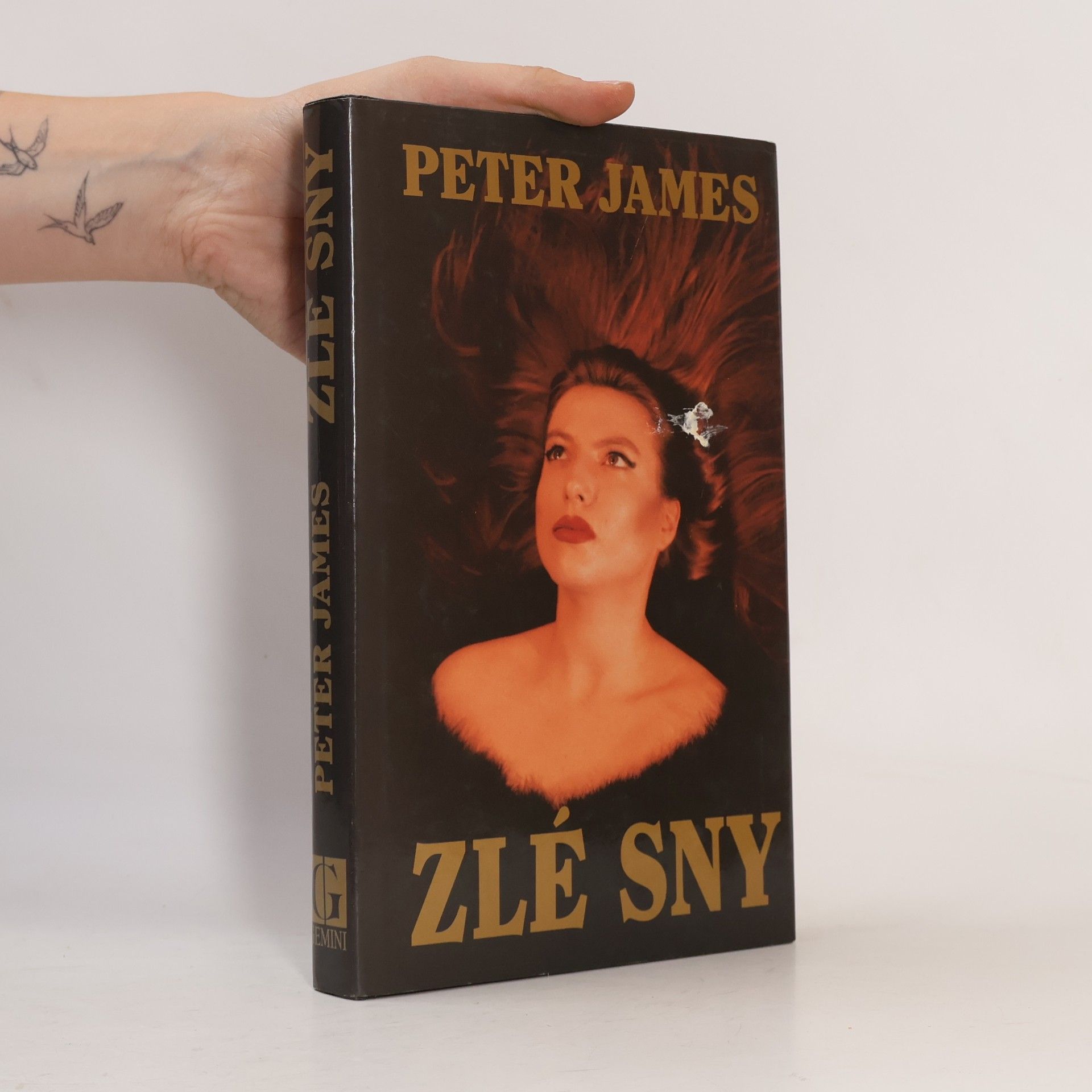 Peter James Zlé sny