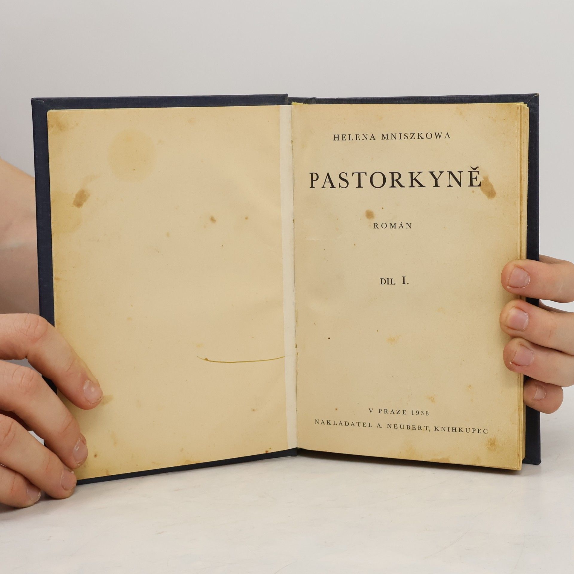 Mniszkowa Helena Pastorkyně I.