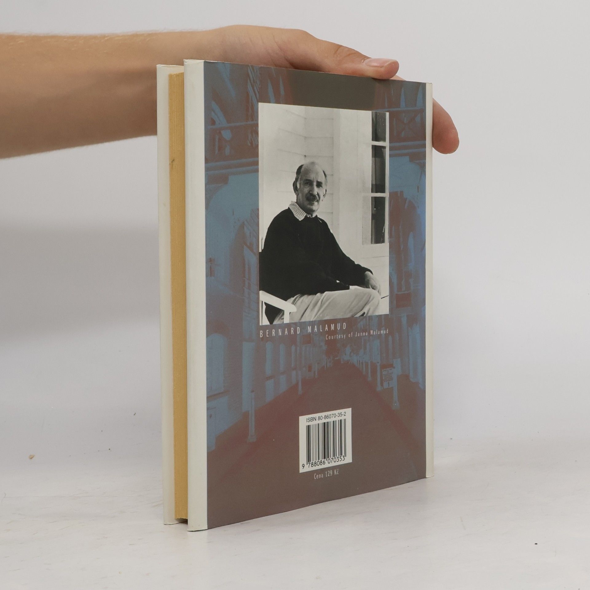 Bernard Malamud Nájemníci
