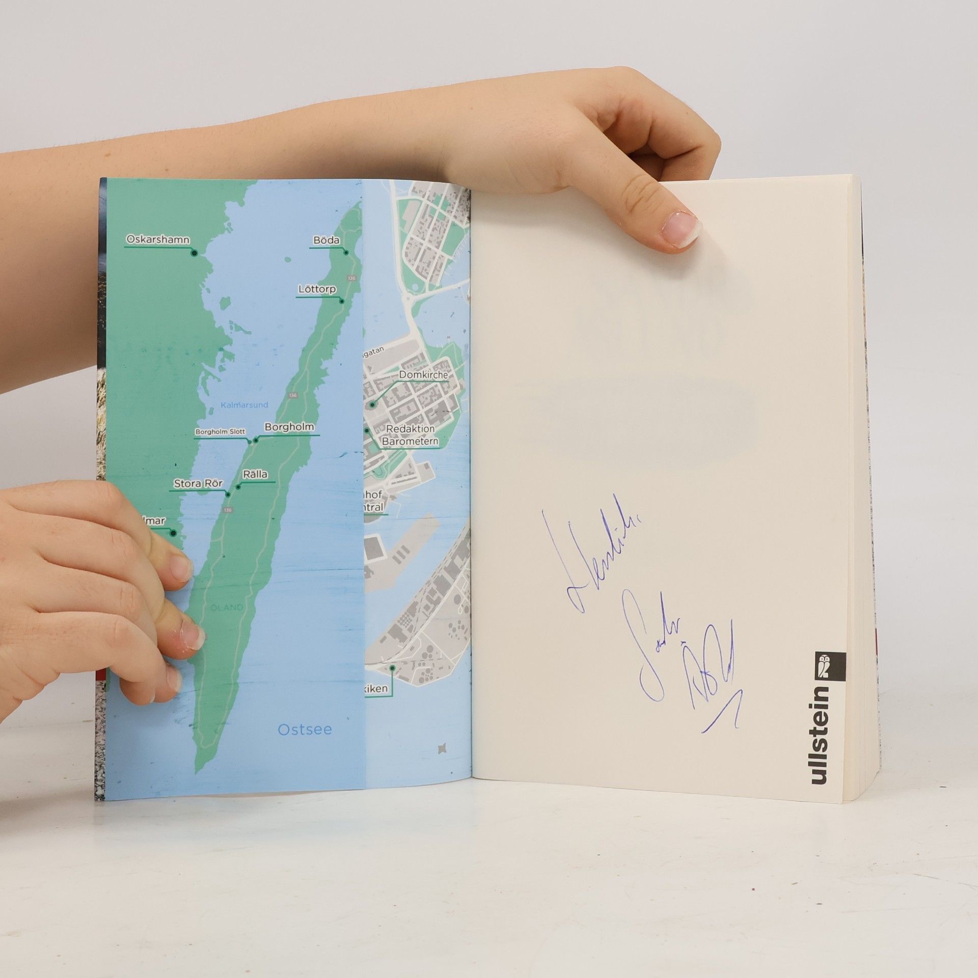 Sandra Åslund Ein Fall für Maya Topelius - 3: Dann ruhest auch du