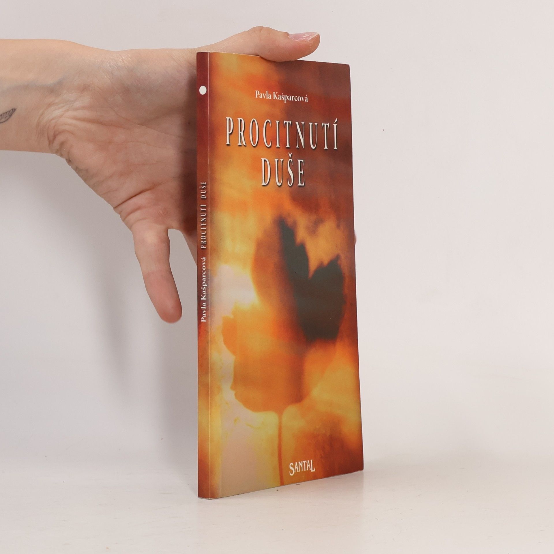 Pavla Kašparcová Procitnutí duše