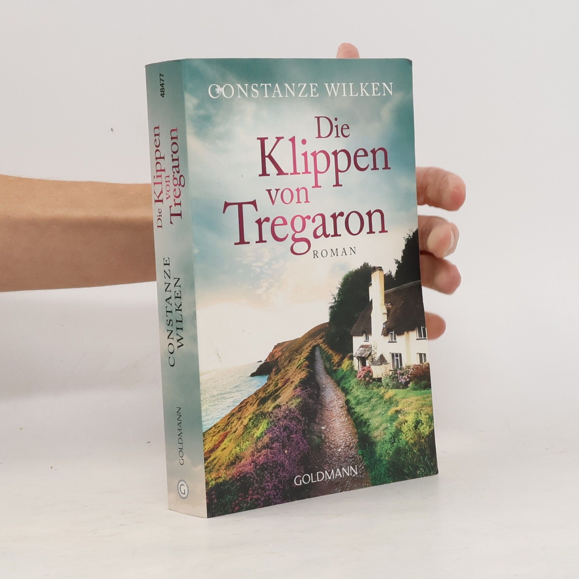 Constanze Wilken Die Klippen von Tregaron