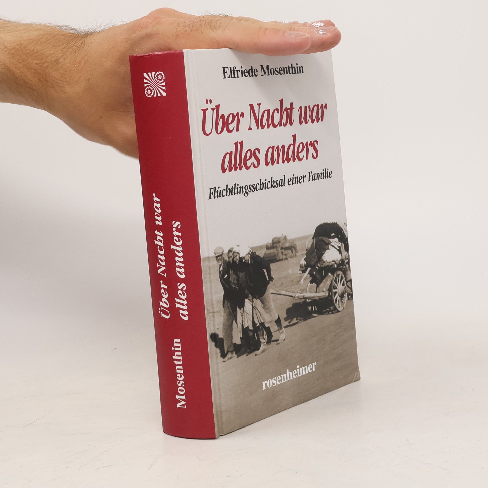Elfriede Mosenthin Über Nacht war alles anders