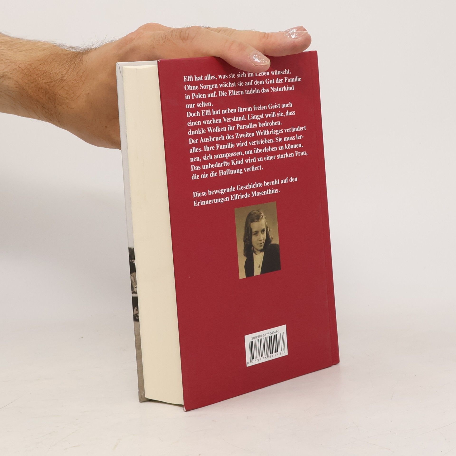 Elfriede Mosenthin Über Nacht war alles anders