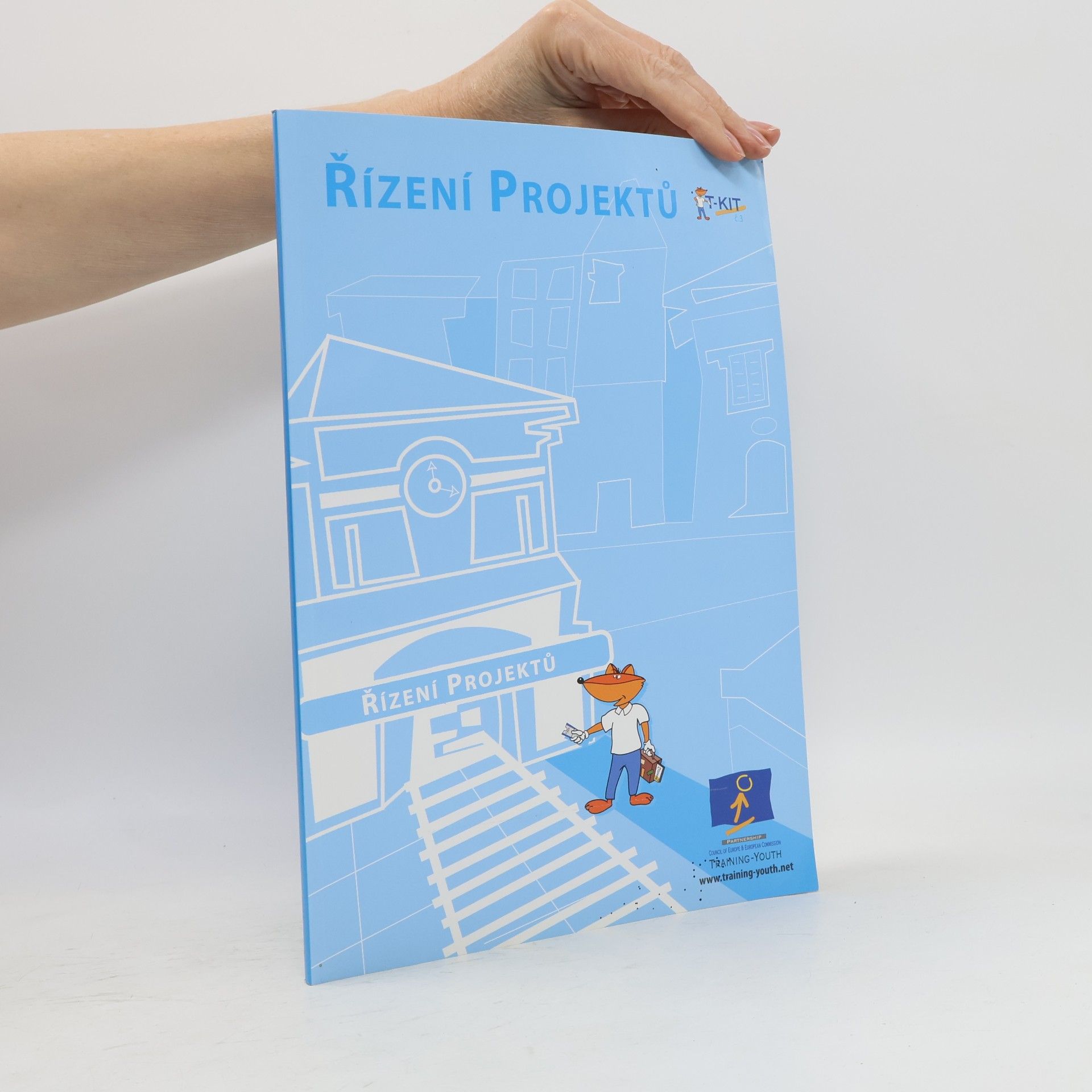 kolektiv Řízení projektů