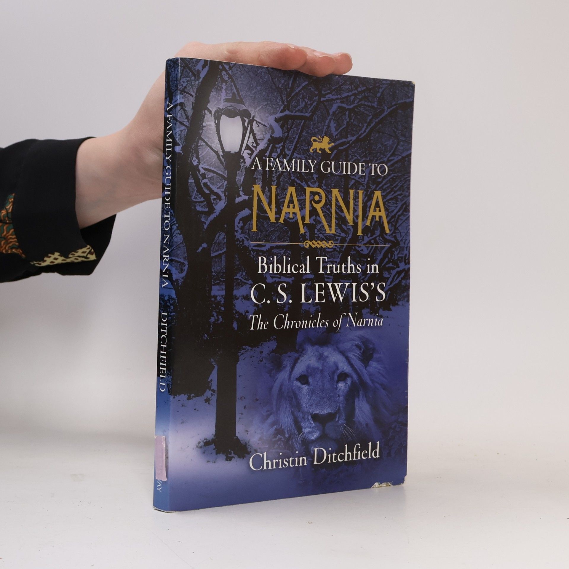 Wayne Martindale A Family Guide to Narnia