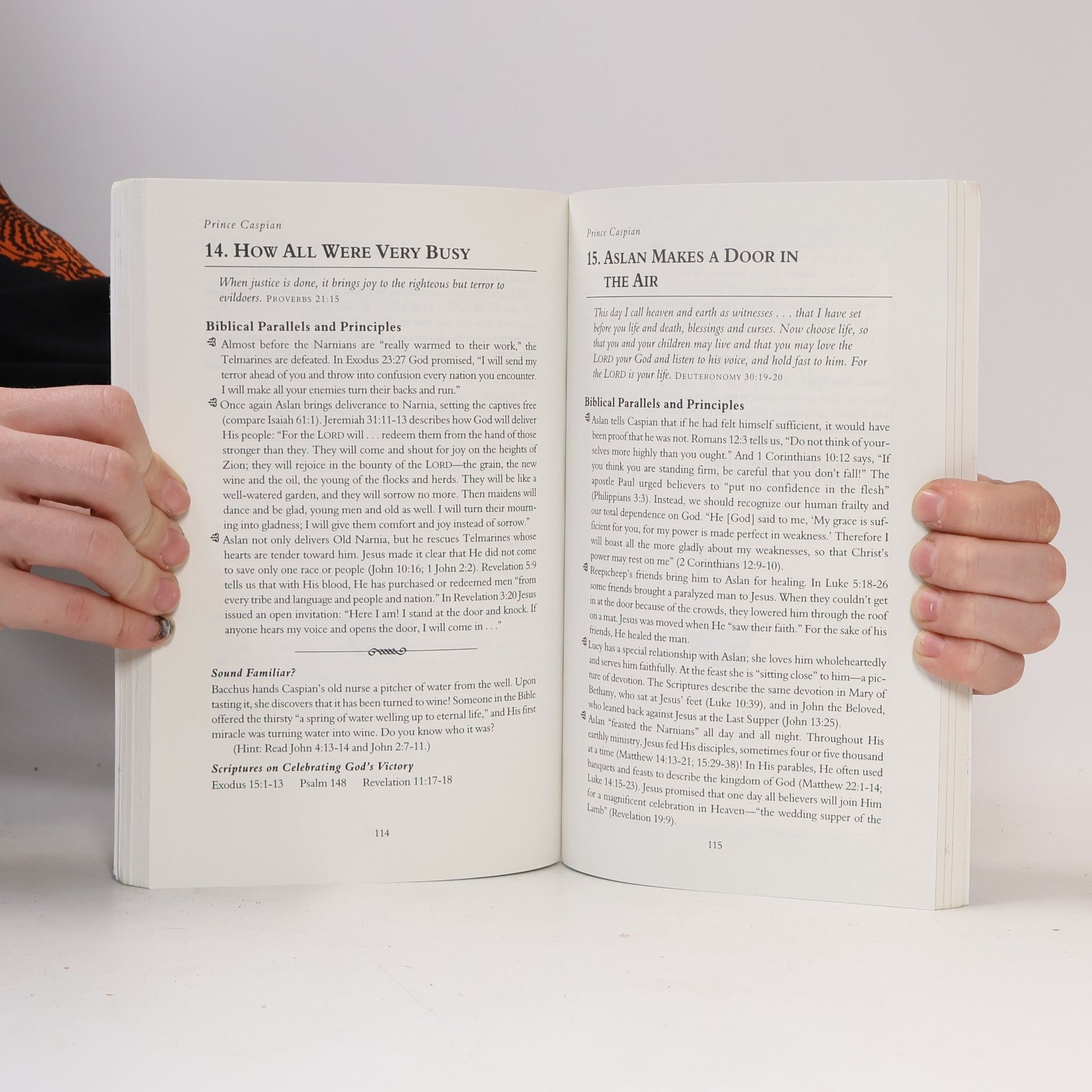 Christin Ditchfield A Family Guide to Narnia