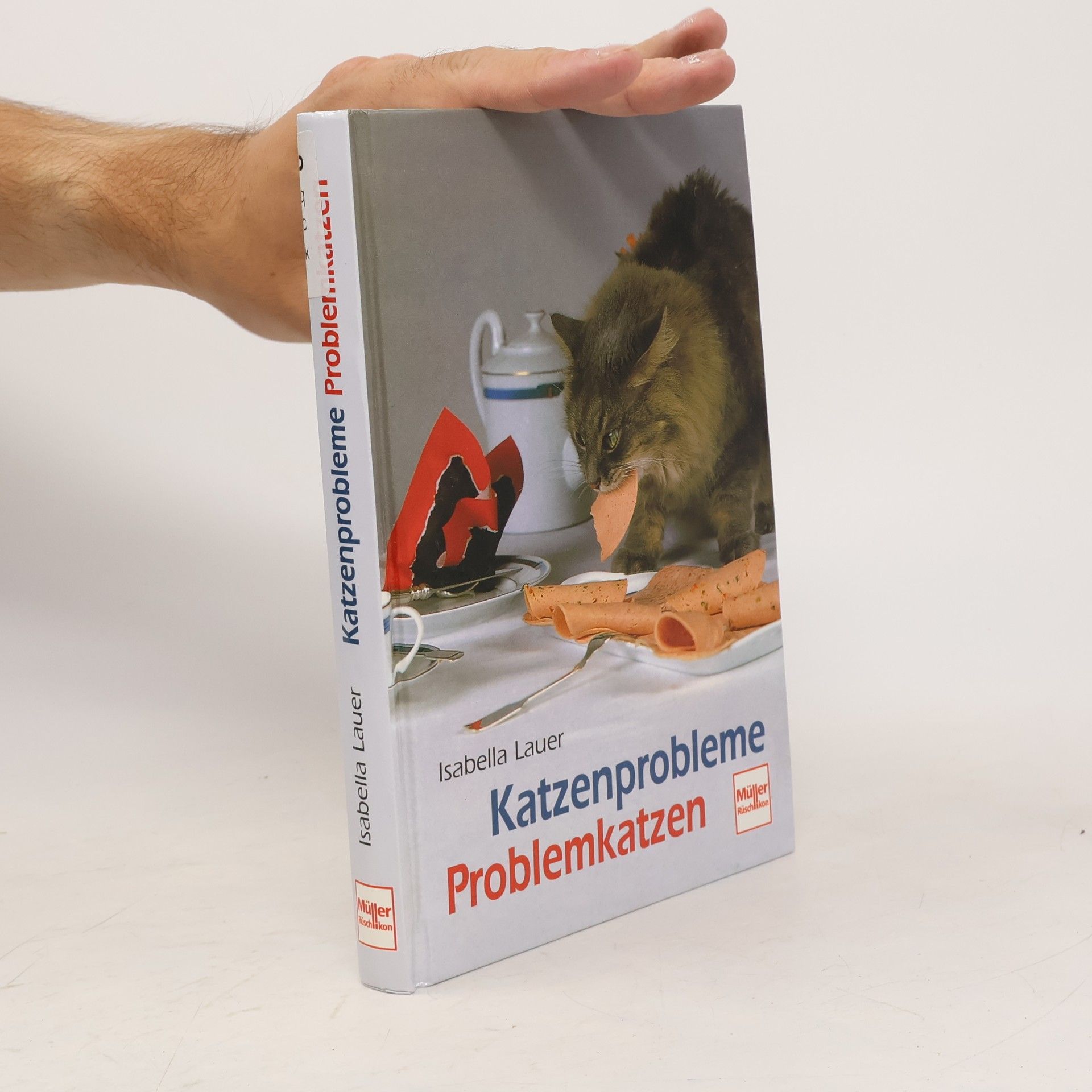Katzenprobleme - Problemkatzen