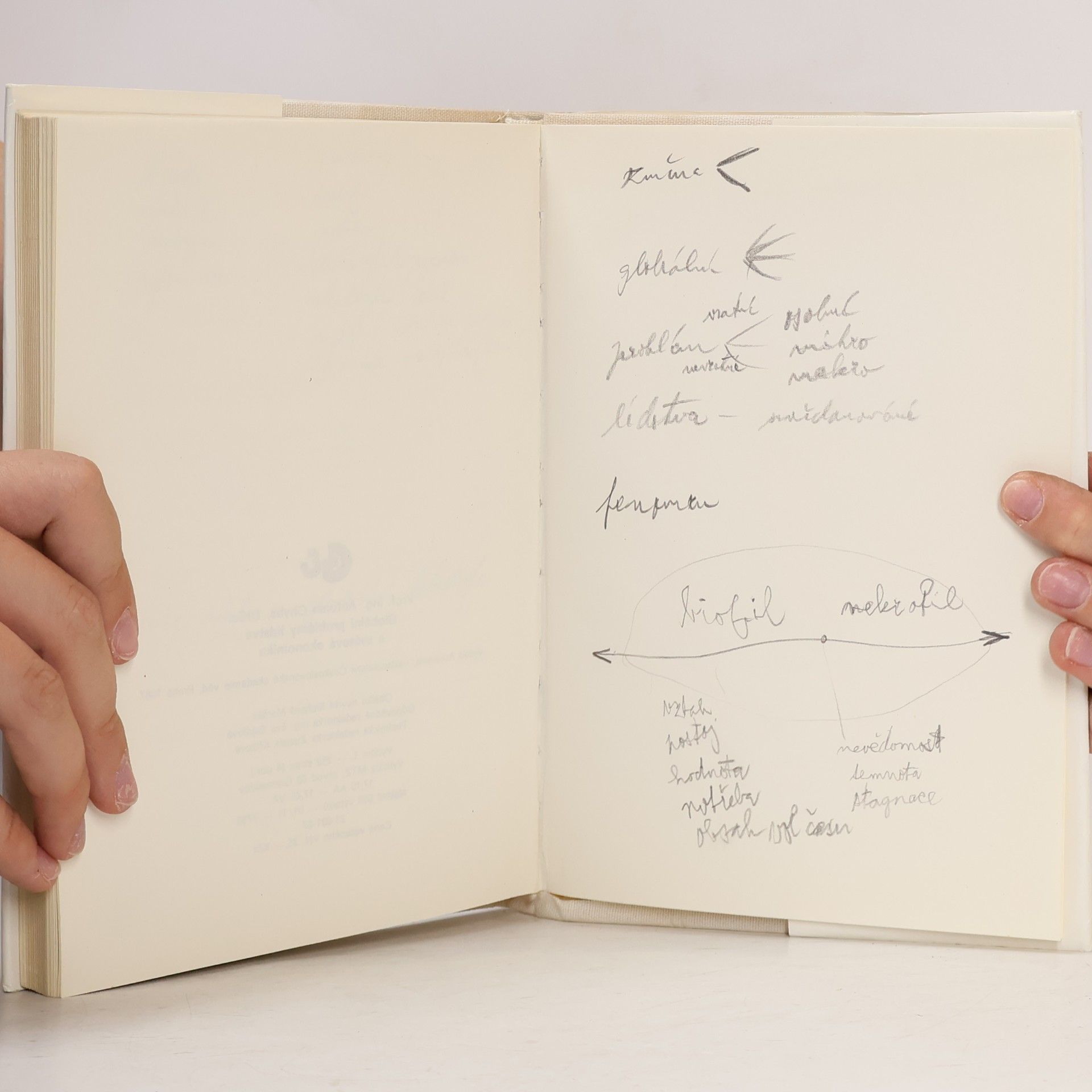 Antonín Chyba Globální problémy lidstva a světová ekonomika