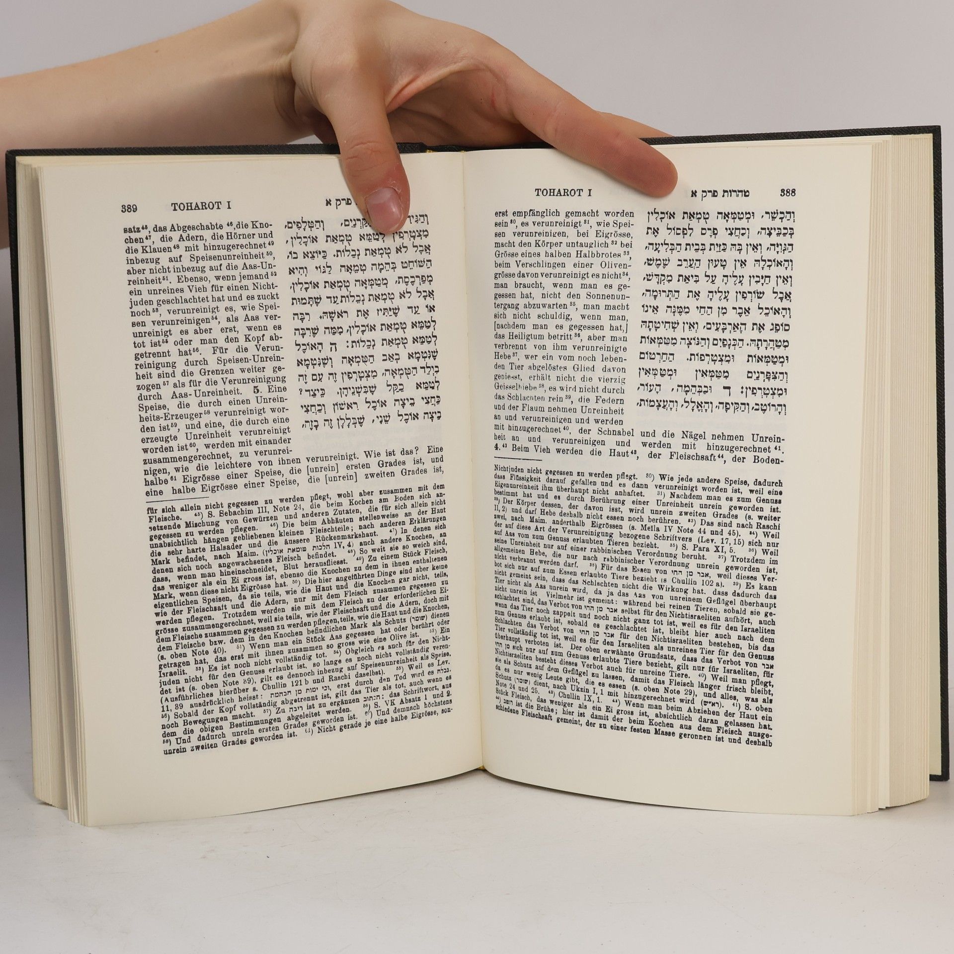 Autorenkollektiv משניות. Mischnajot