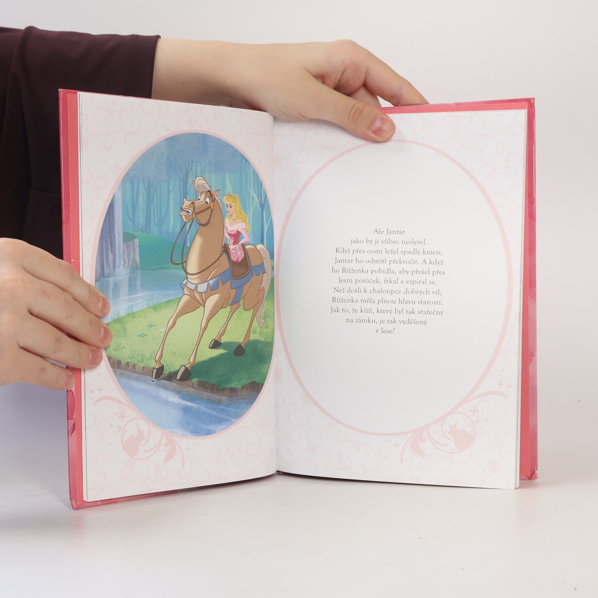 Disney Storybook Artists Šípková Růženka