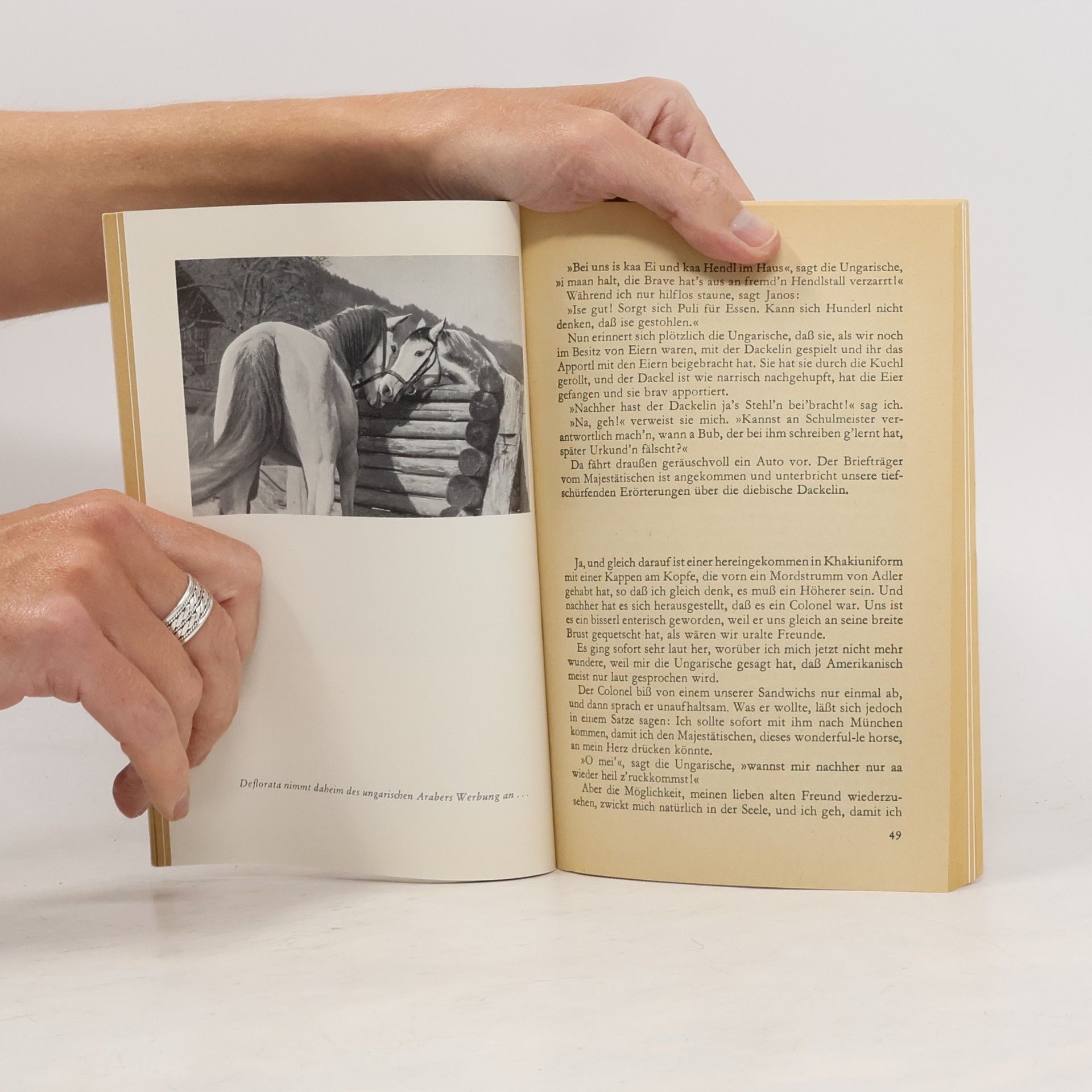 Arthur-Heinz Lehmann Die Stute Deflorata