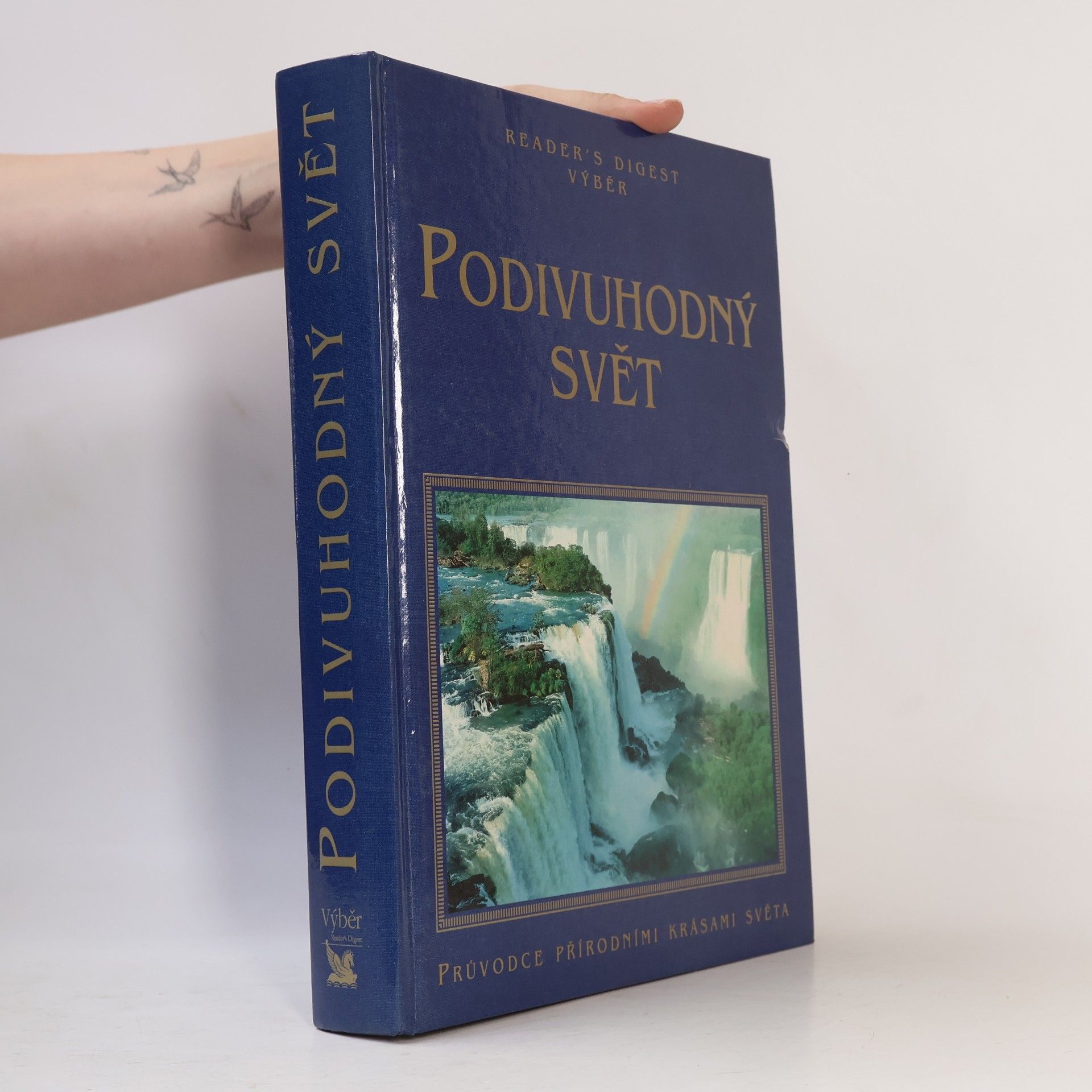 Anne Gatti Podivuhodný svět