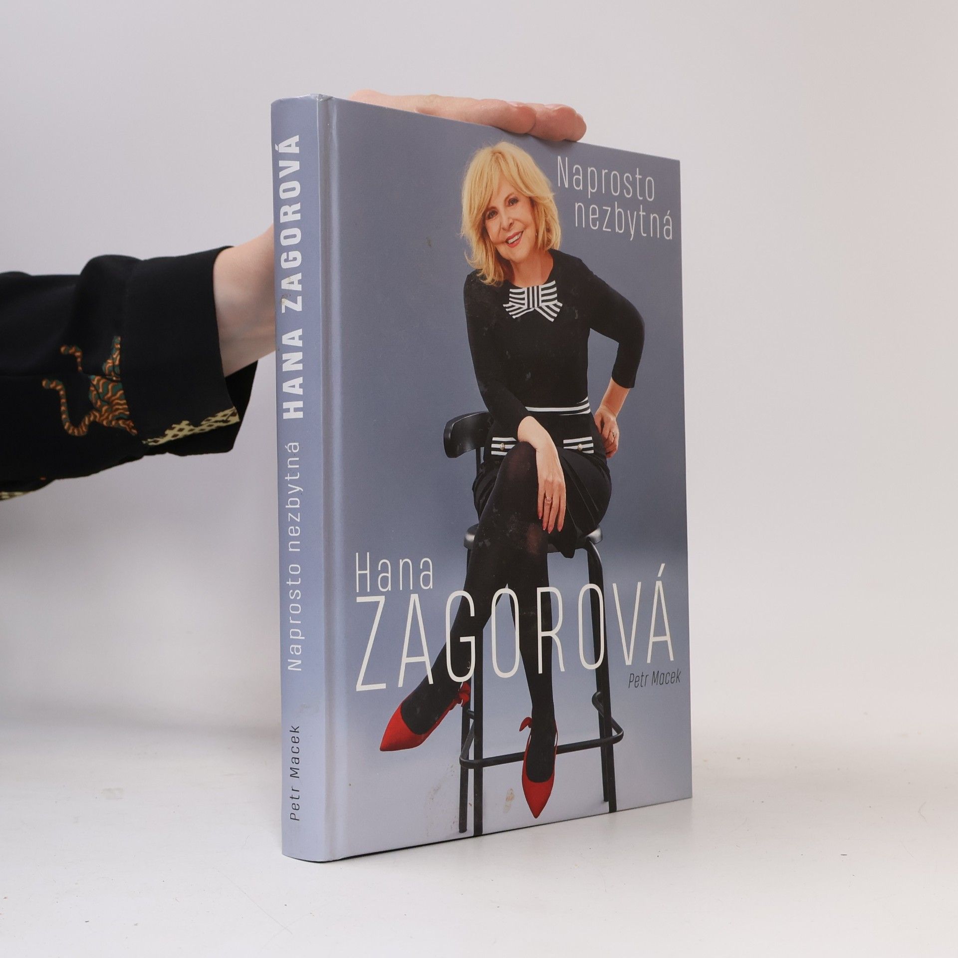 Petr Macek Naprosto nezbytná Hana Zagorová