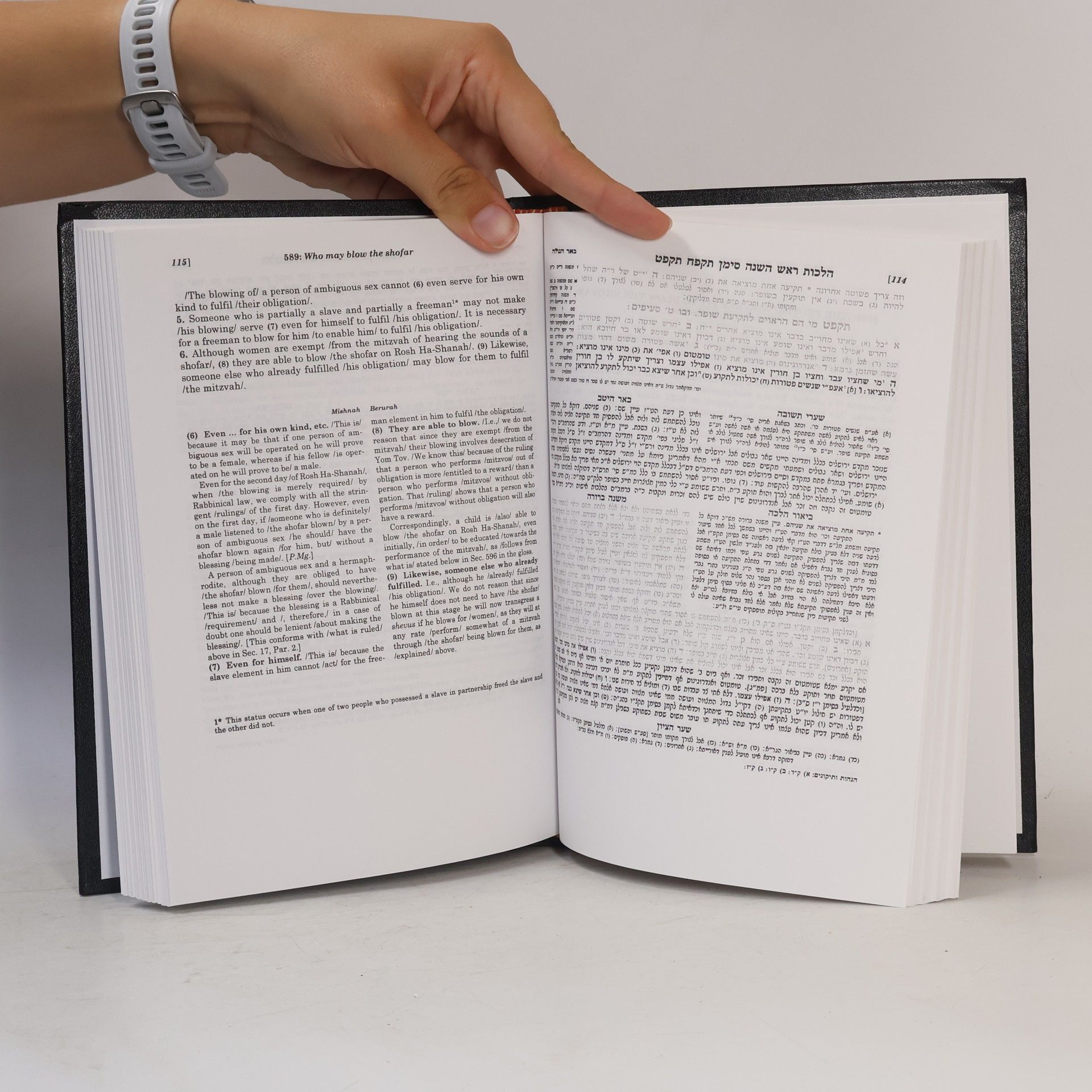 Rabbi Aviel Orenstein Mishnah Berurah. Hebrew-English Edition. Volume VI (B)