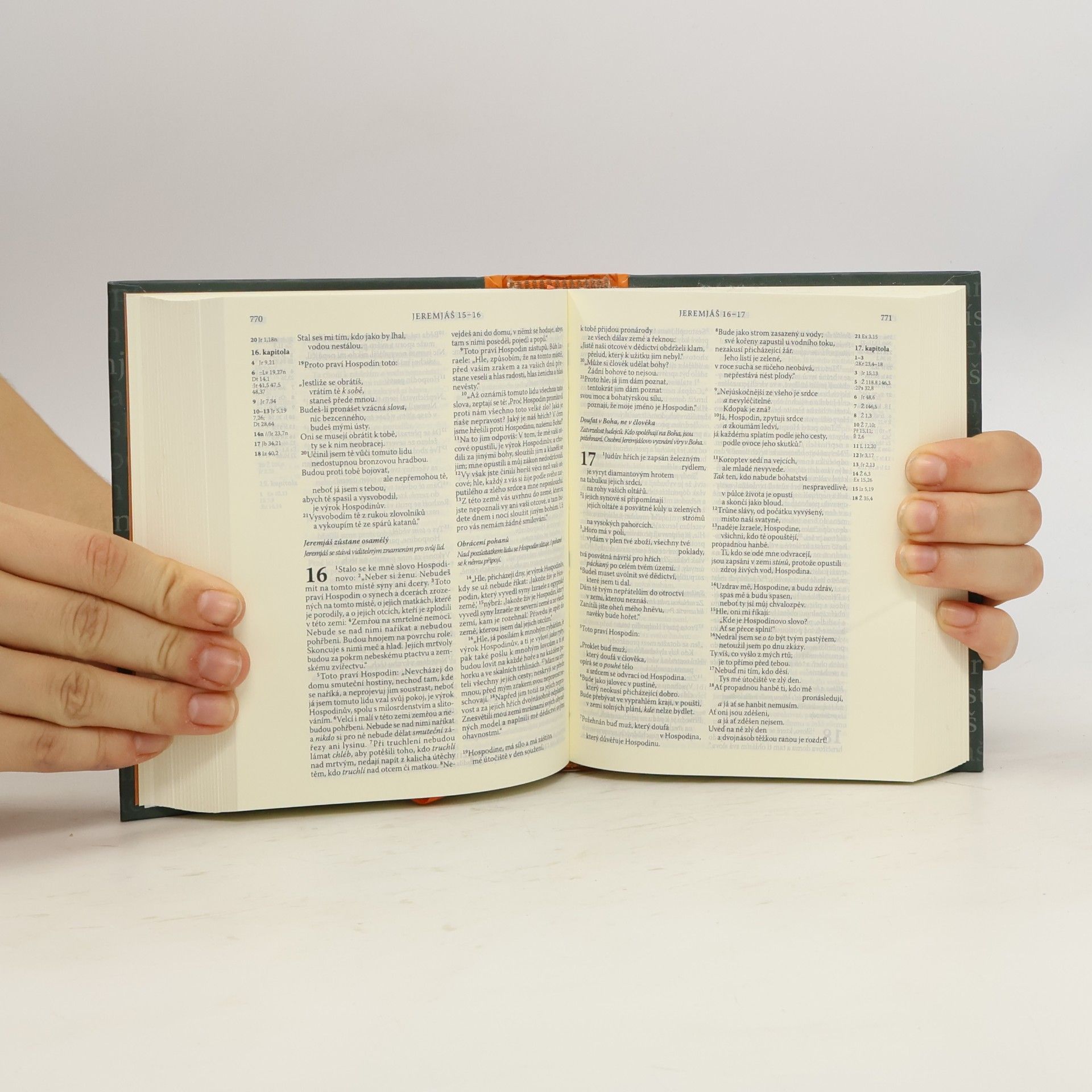 Kolektiv autorů Ekumenický překlad Bible : Písmo svaté Starého a Nového zákona
