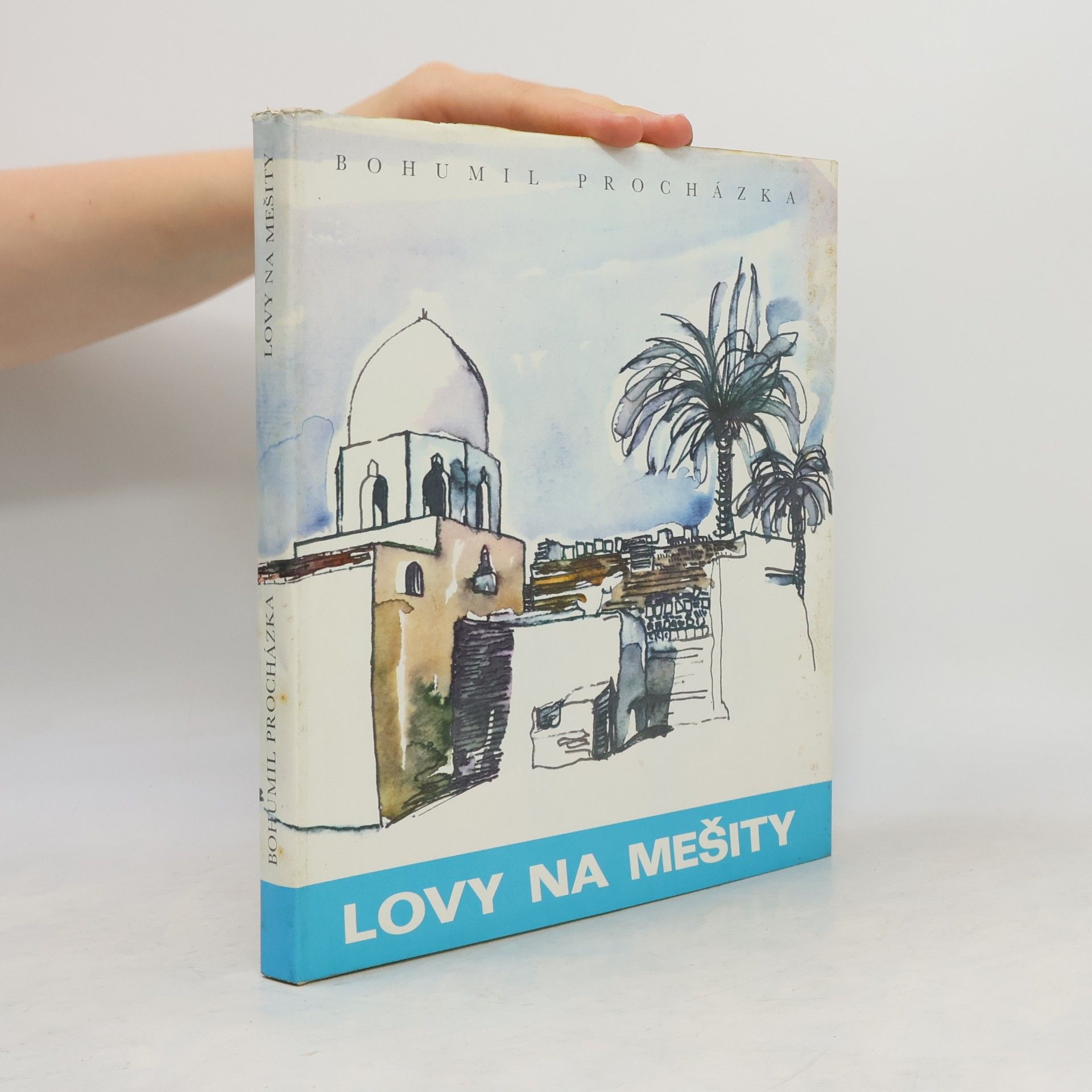 Amjad Bohumil Procházka Lovy na mešity