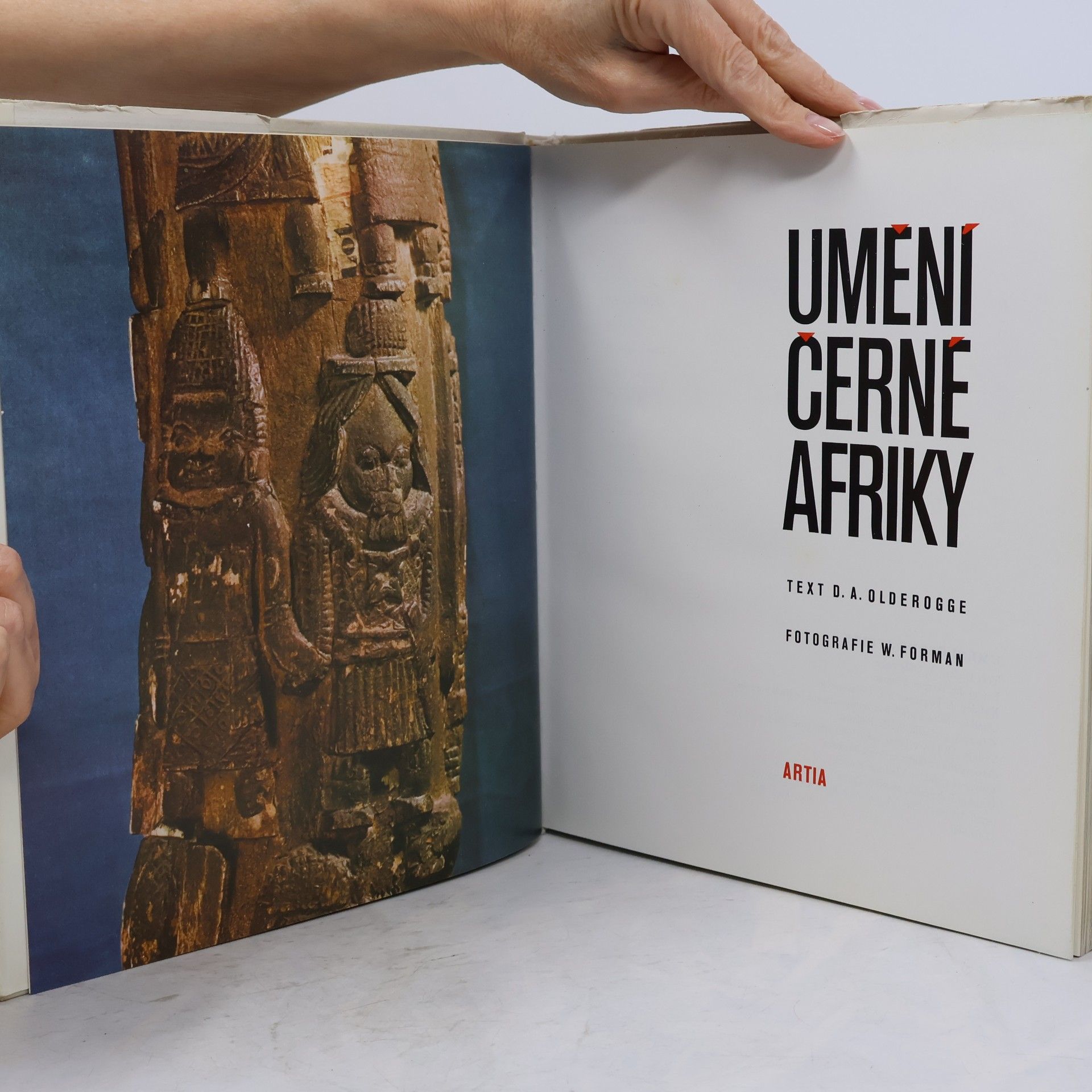 Světla Pešková Umění černé Afriky
