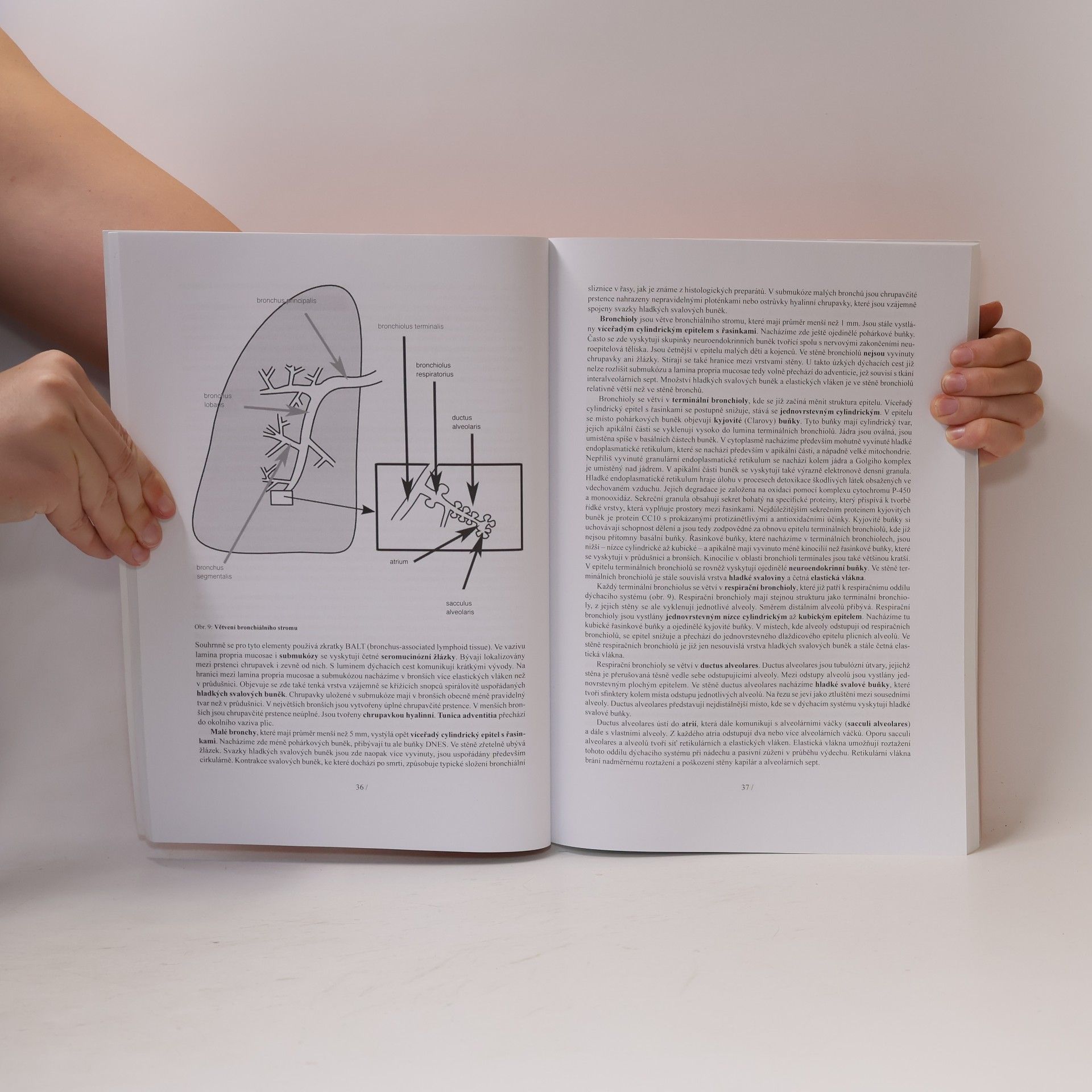 Univerzita Karlova Lékařská histologie II. : mikroskopická anatomie