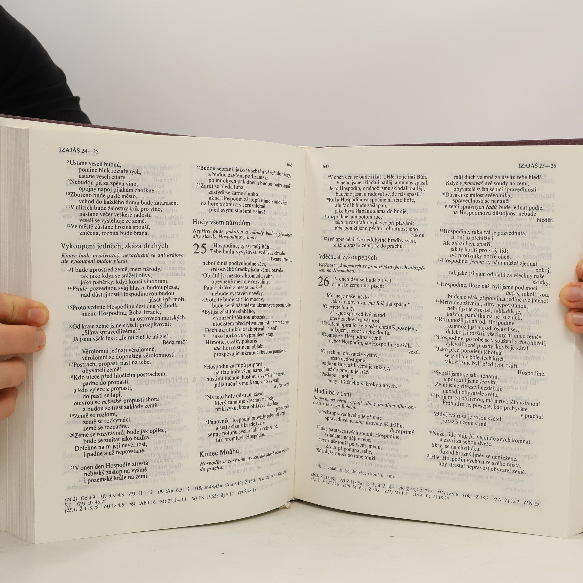 Kolektiv autorů Bible - Písmo svaté Starého a Nového zákona : český ekumenický překlad