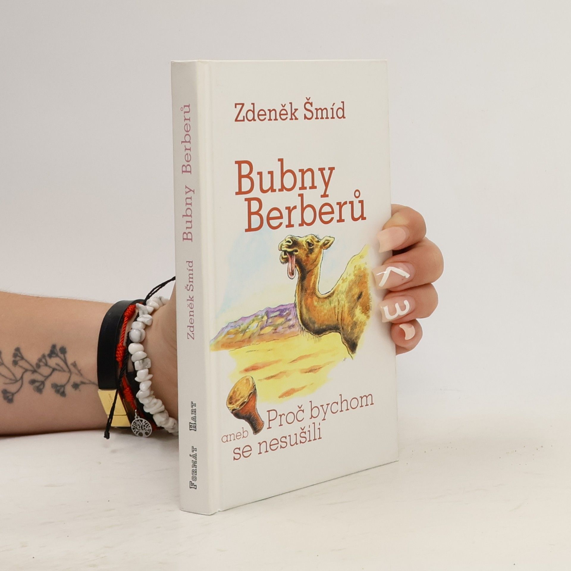 Bubny Berberů, aneb, Proč bychom se nesušili