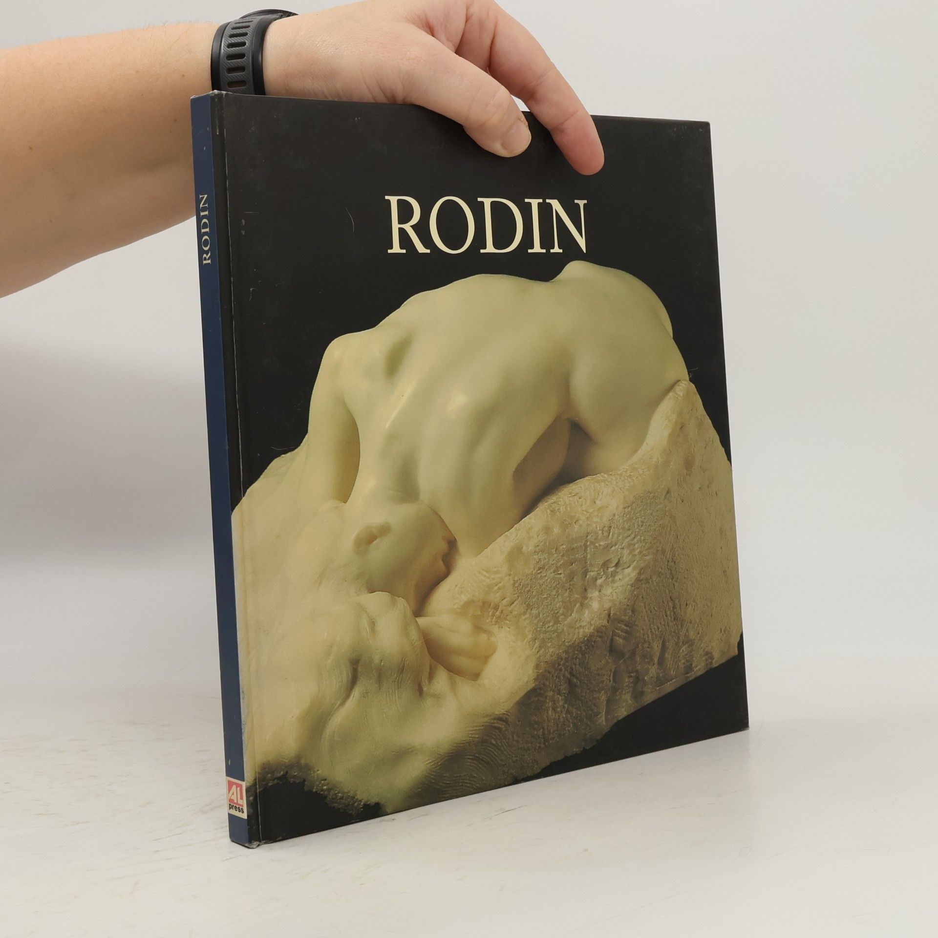 Autorenkollektiv Rodin